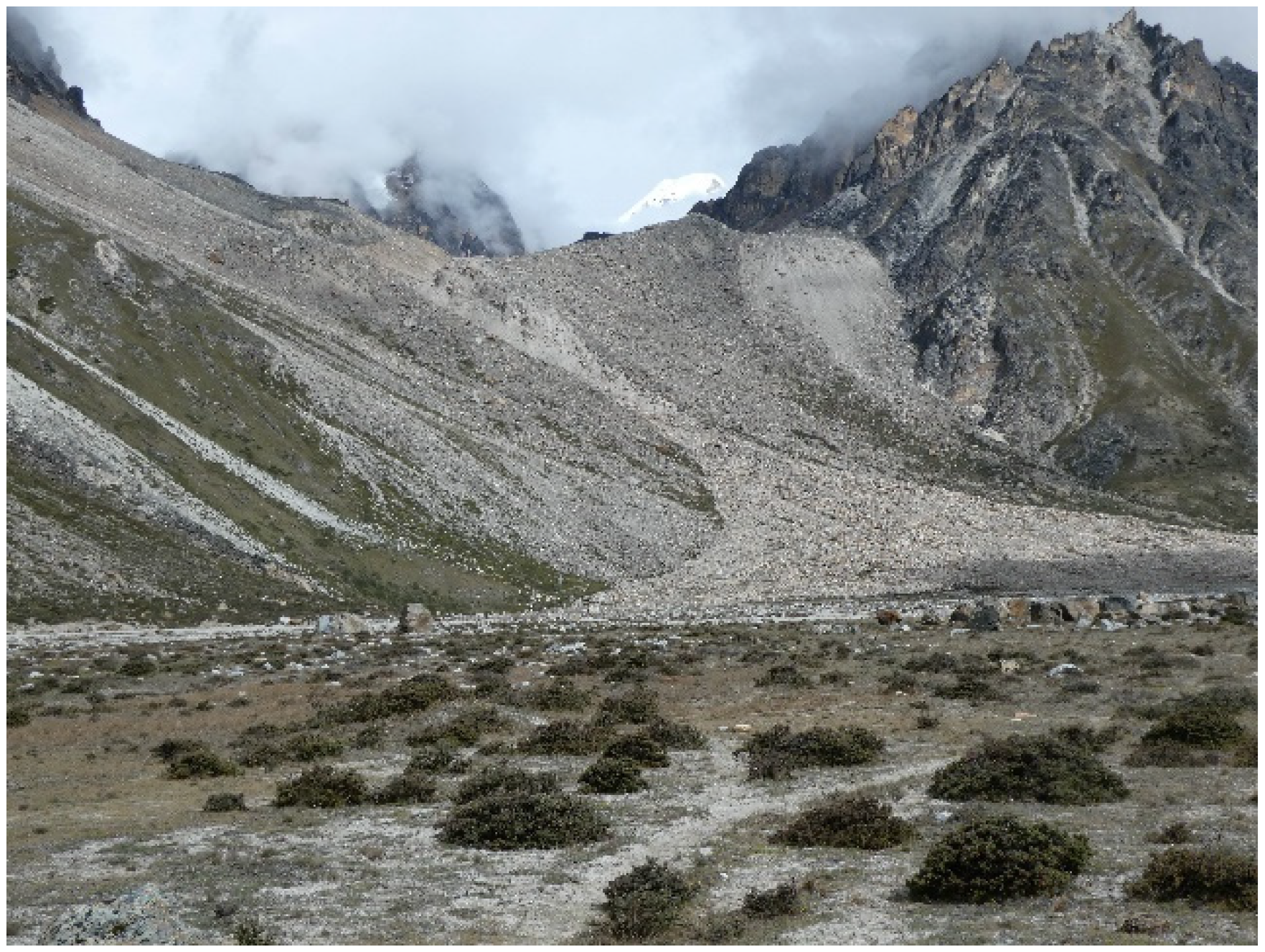 Sustainability 16 02434 g007