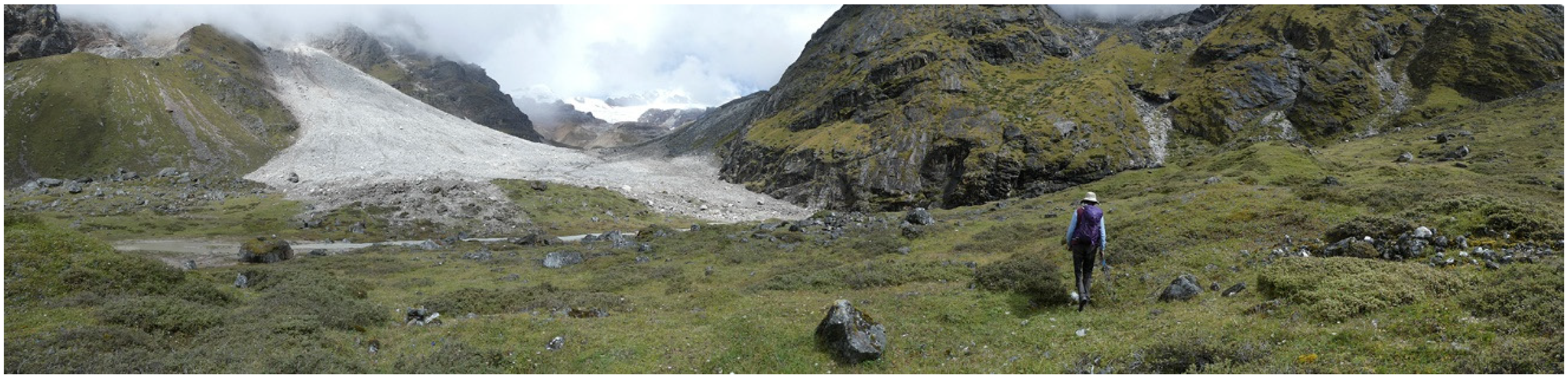 Sustainability 16 02434 g010