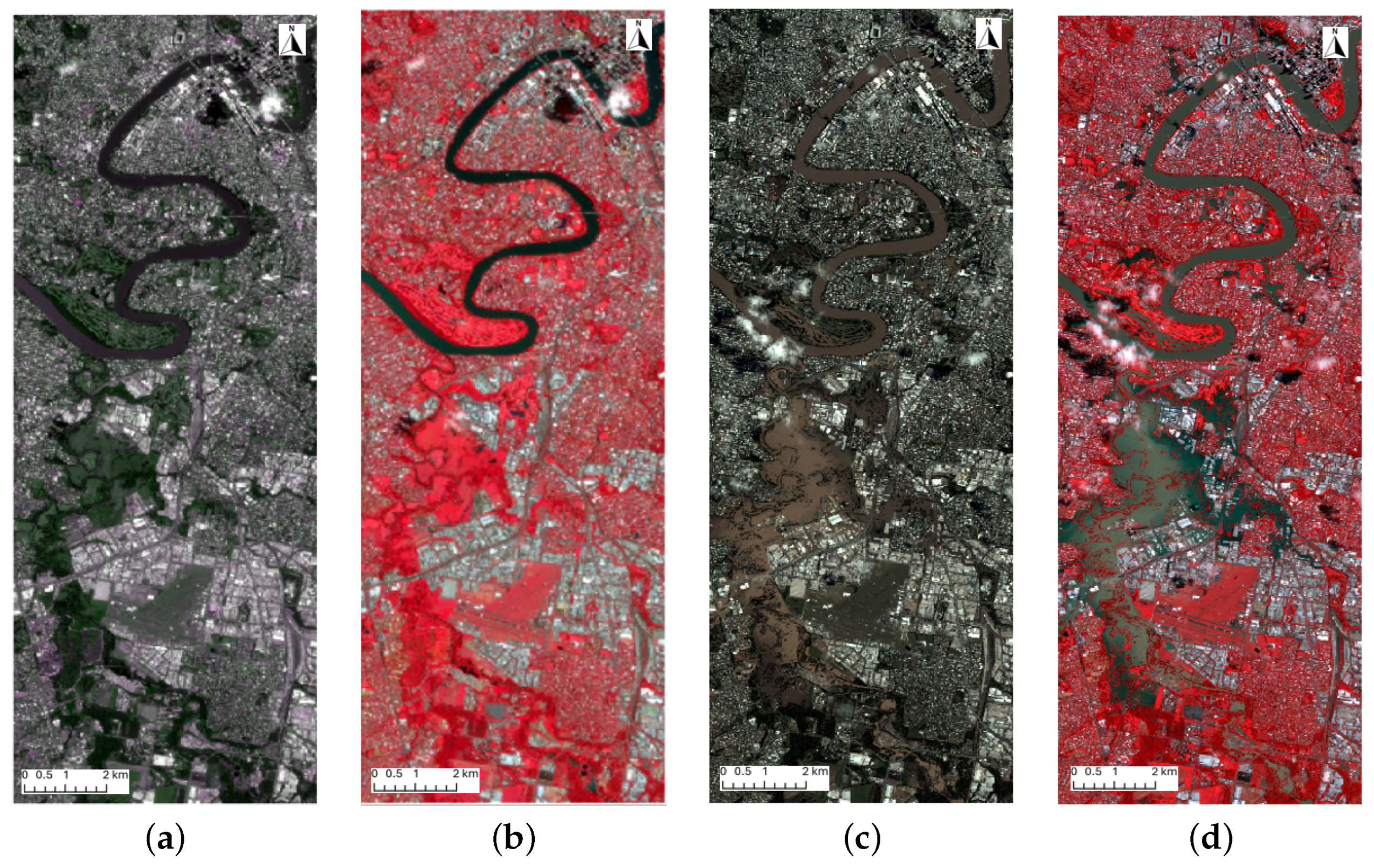Sustainability 16 02493 g002