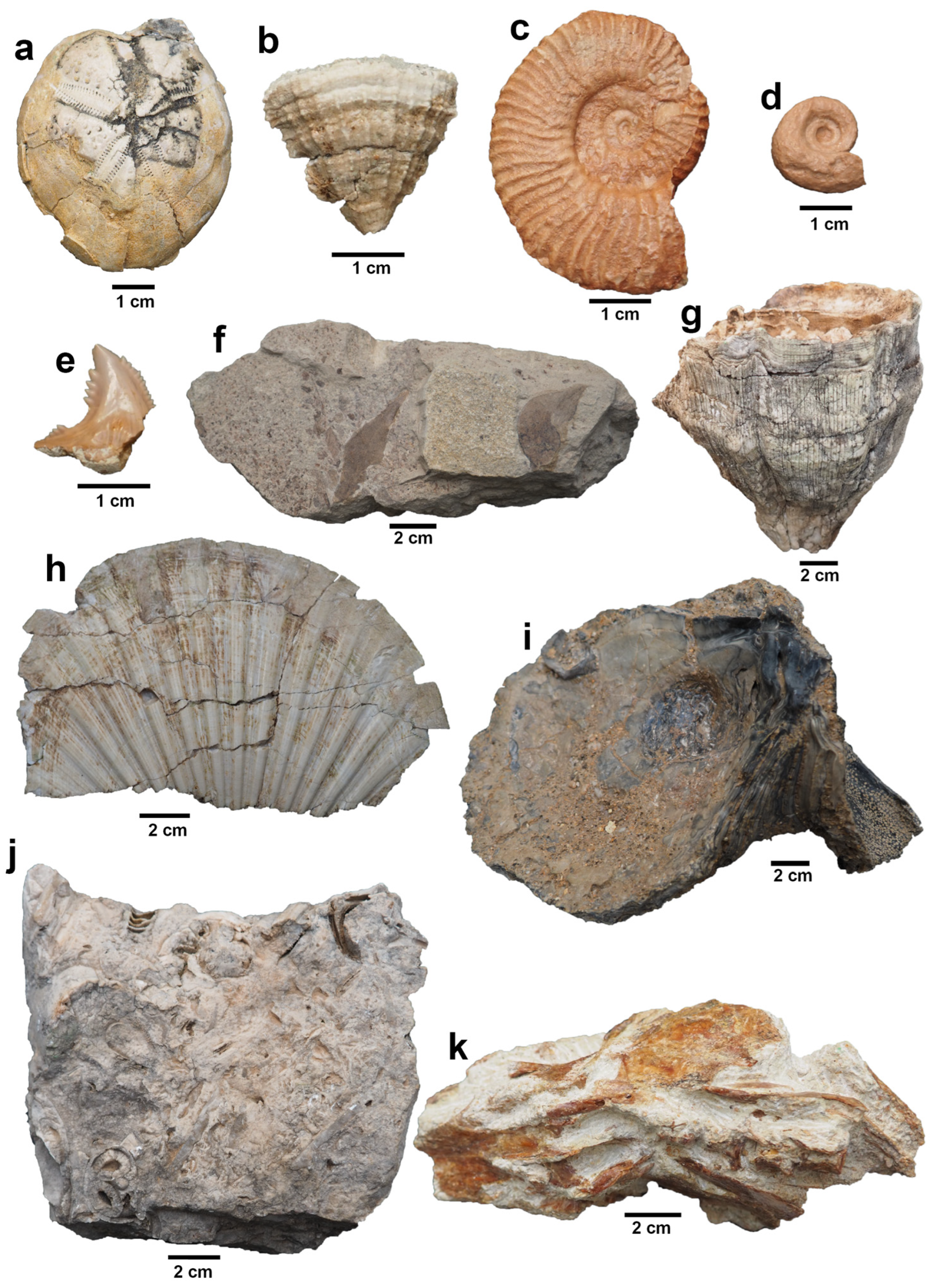 Sustainability 16 02521 g002