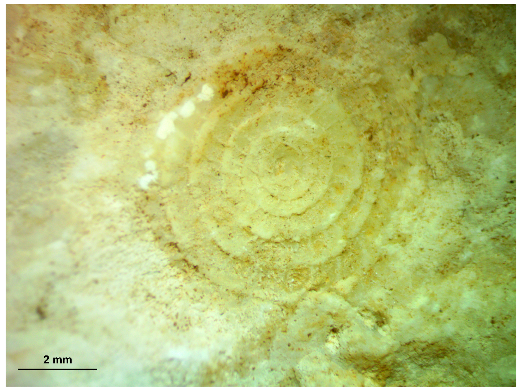 Sustainability 16 02521 g003