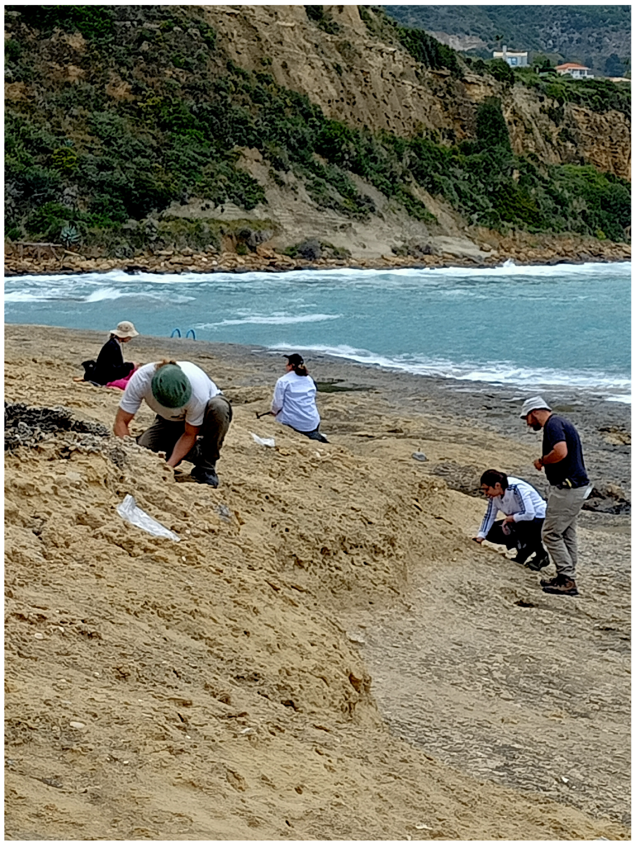 Sustainability 16 02521 g004