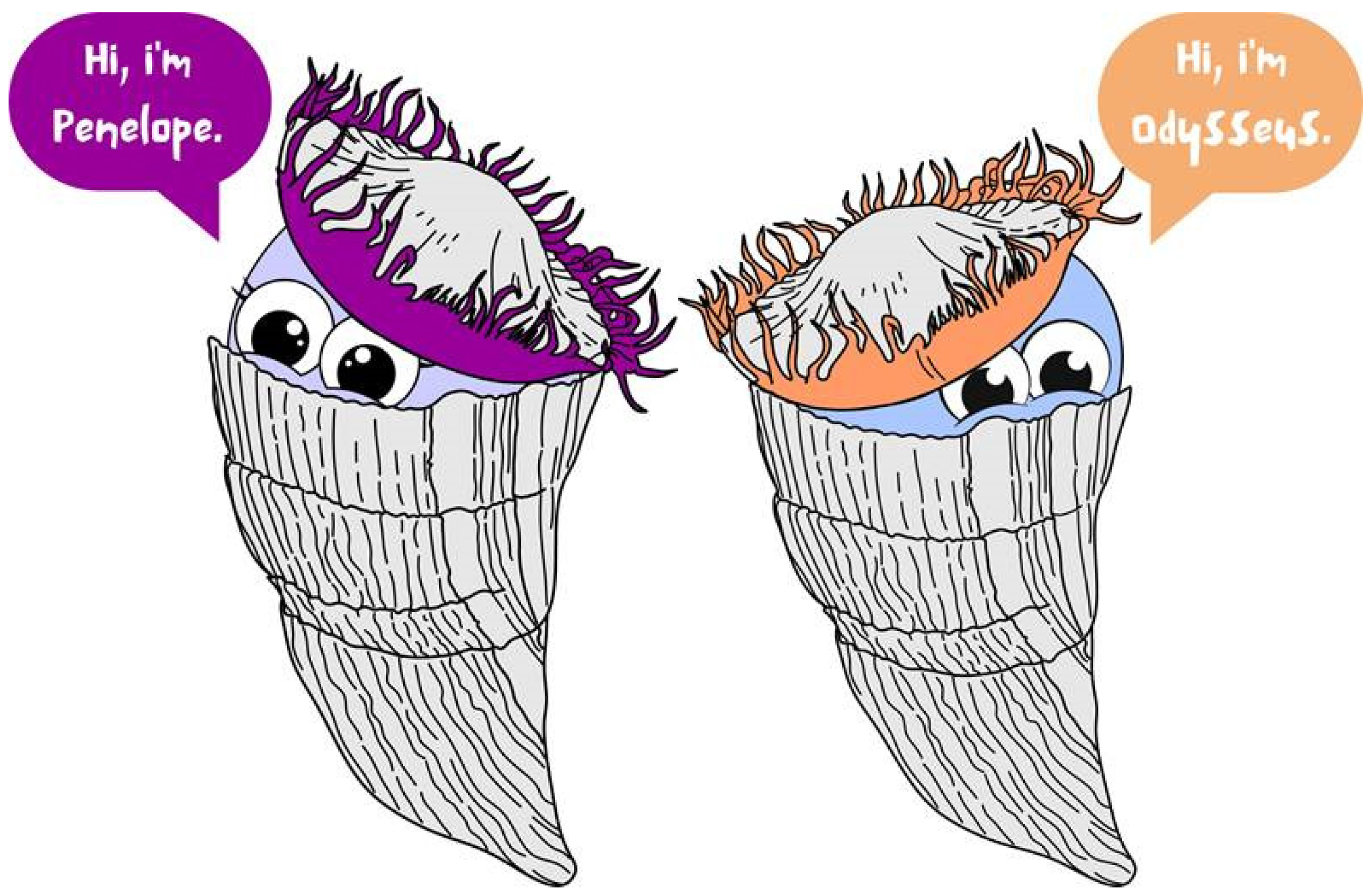 Sustainability 16 02521 g006