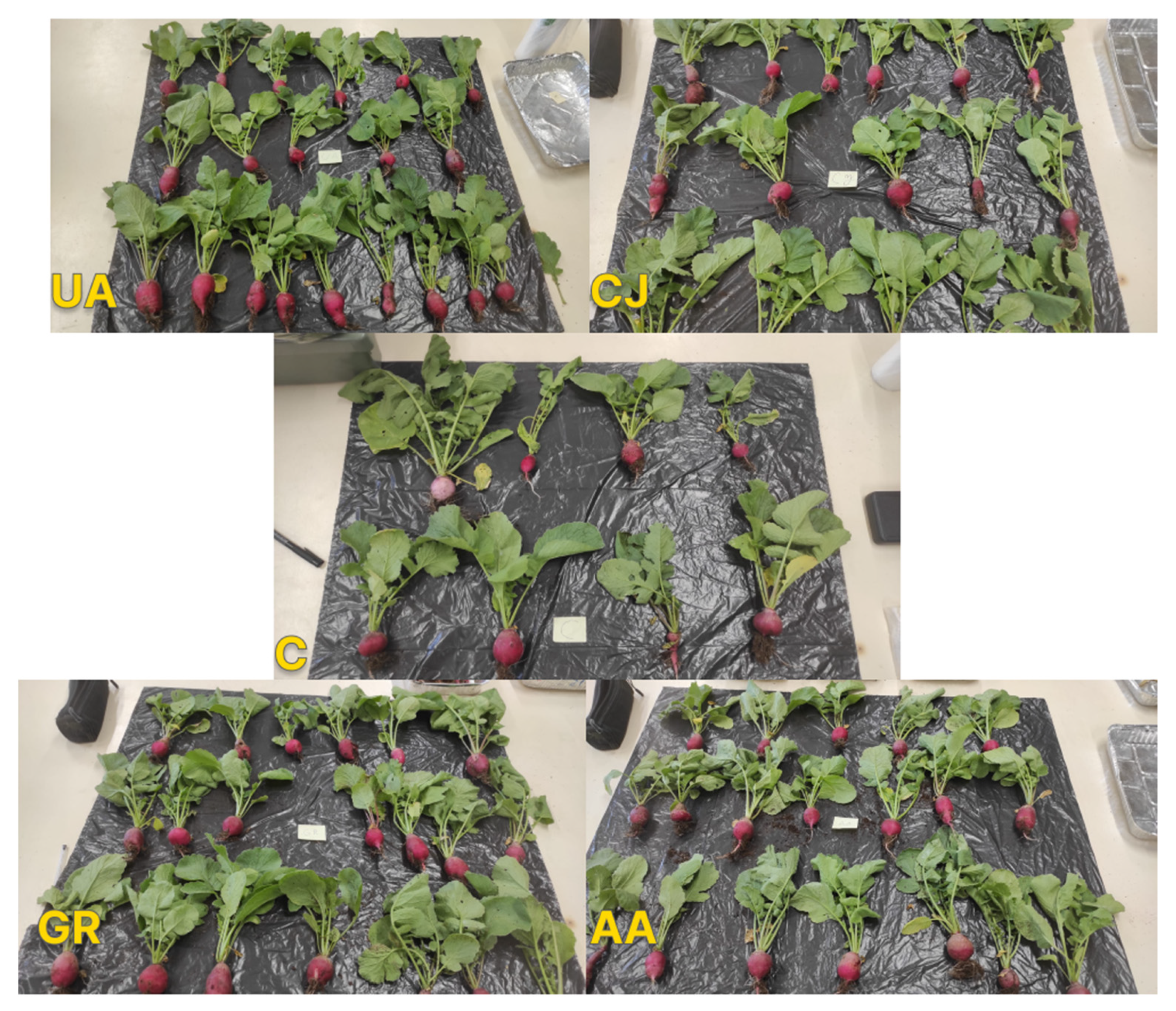 Sustainability 16 02529 g005