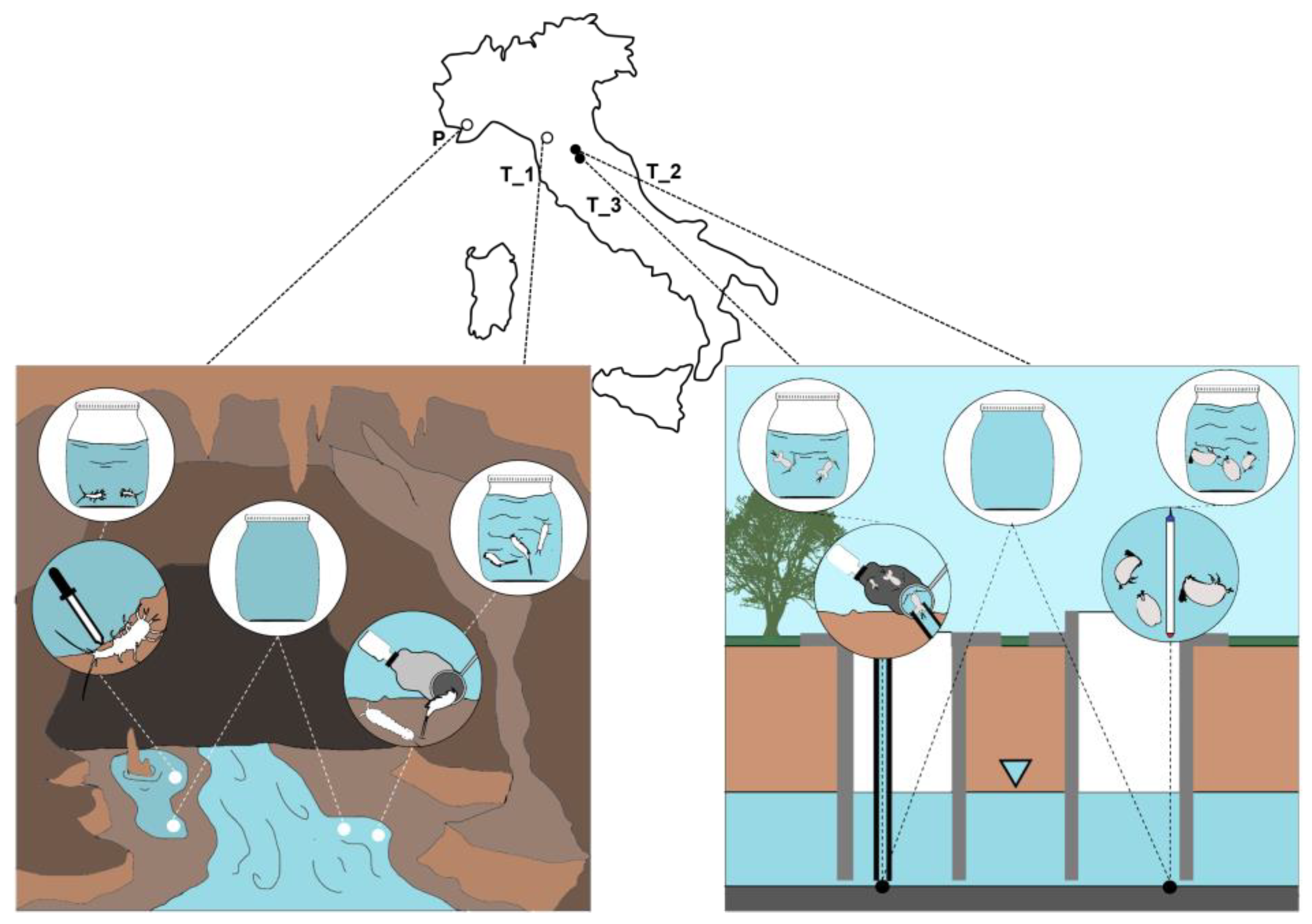 Sustainability 16 02532 g001