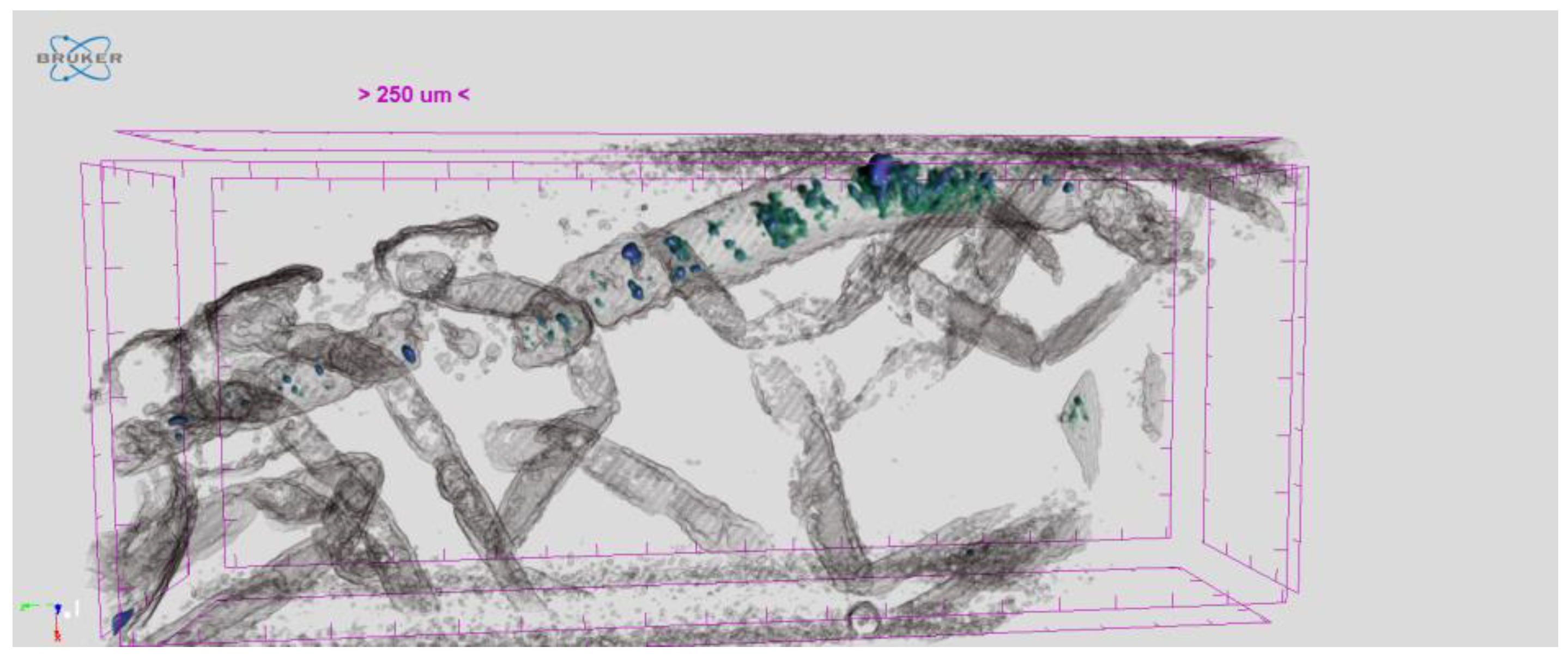 Sustainability 16 02532 g005