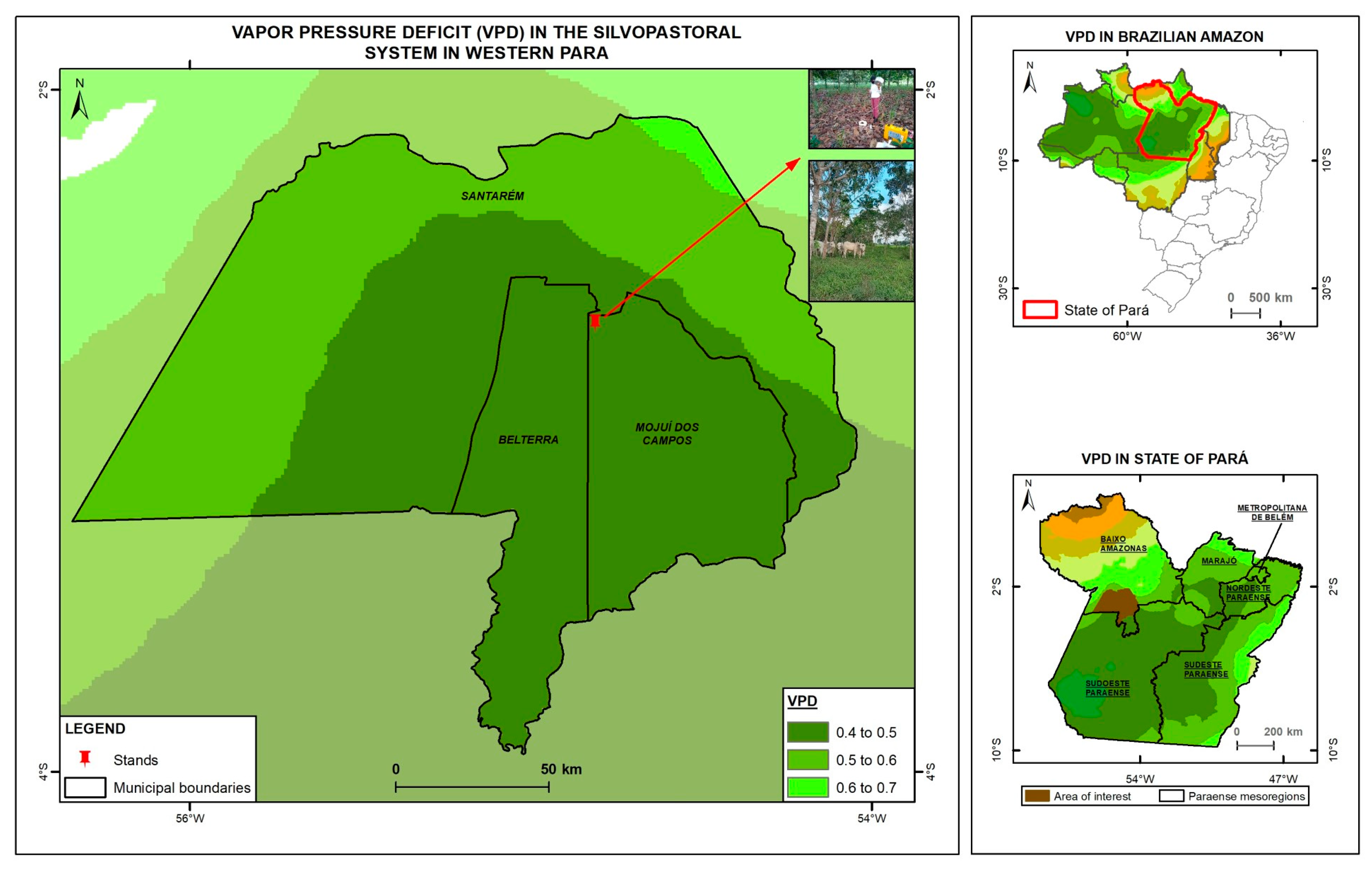 Sustainability 16 02547 g001 Sustainability 16 02547 g001