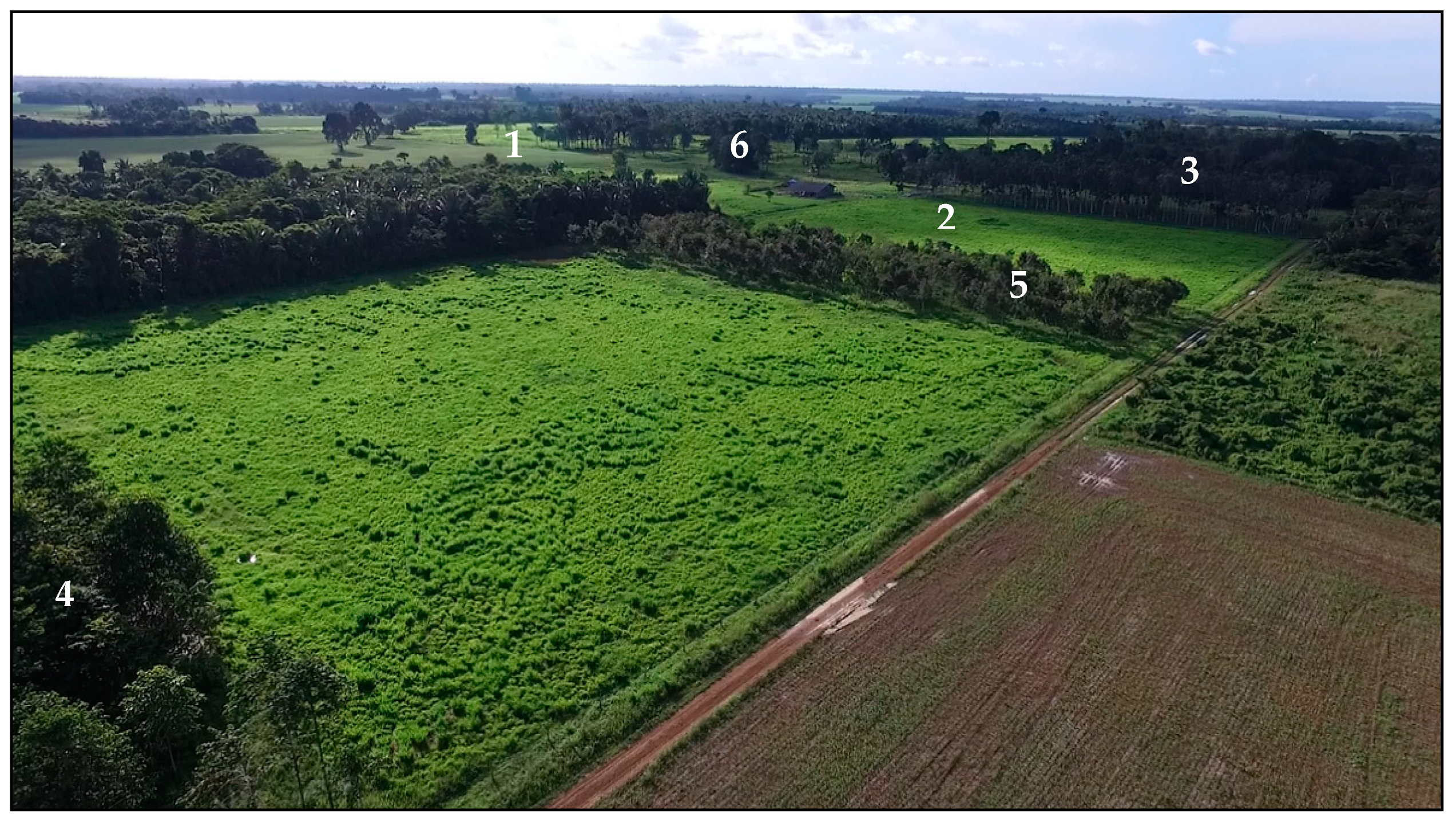 Sustainability 16 02547 g002 Sustainability 16 02547 g002