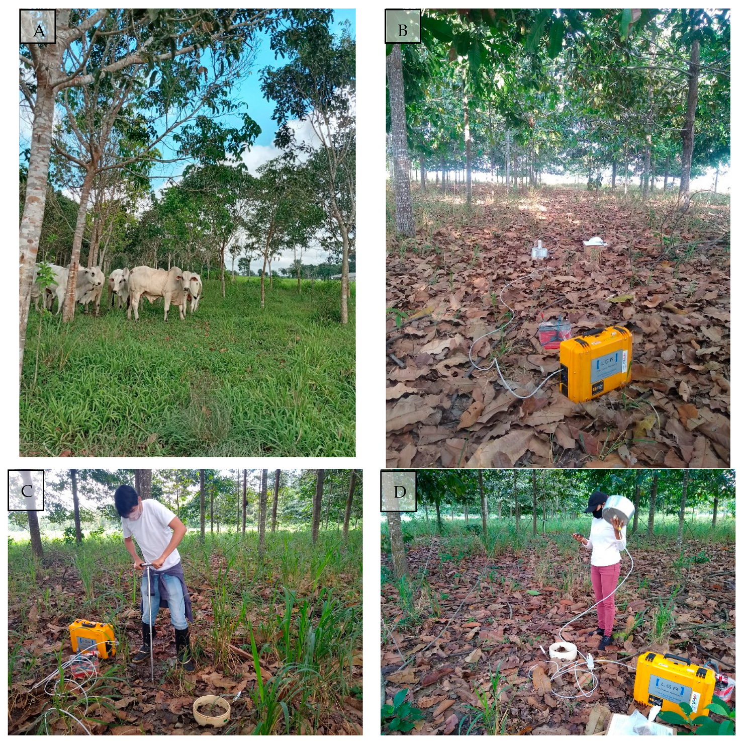 Sustainability 16 02547 g004 Sustainability 16 02547 g004