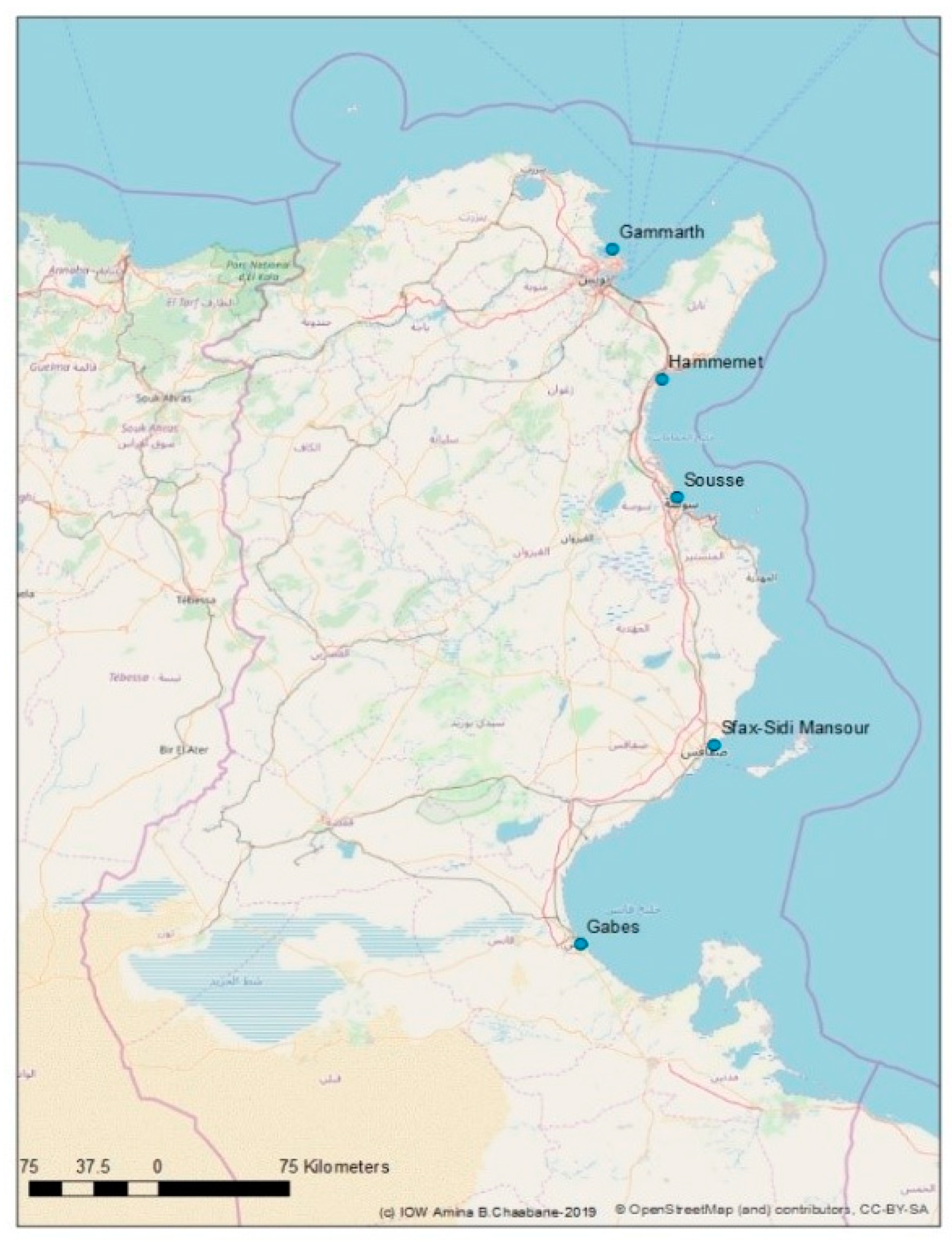 Sustainability 16 02604 g001