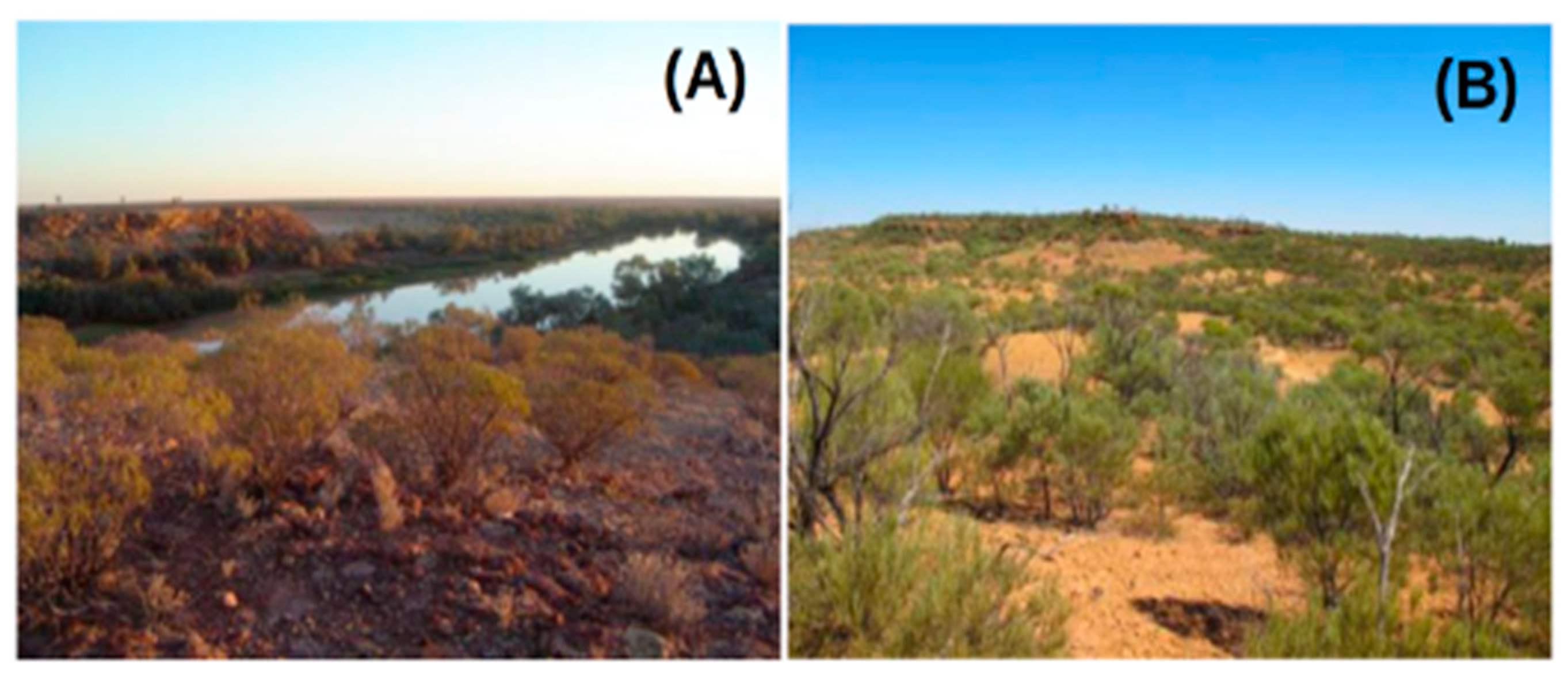 Sustainability 16 02606 g004