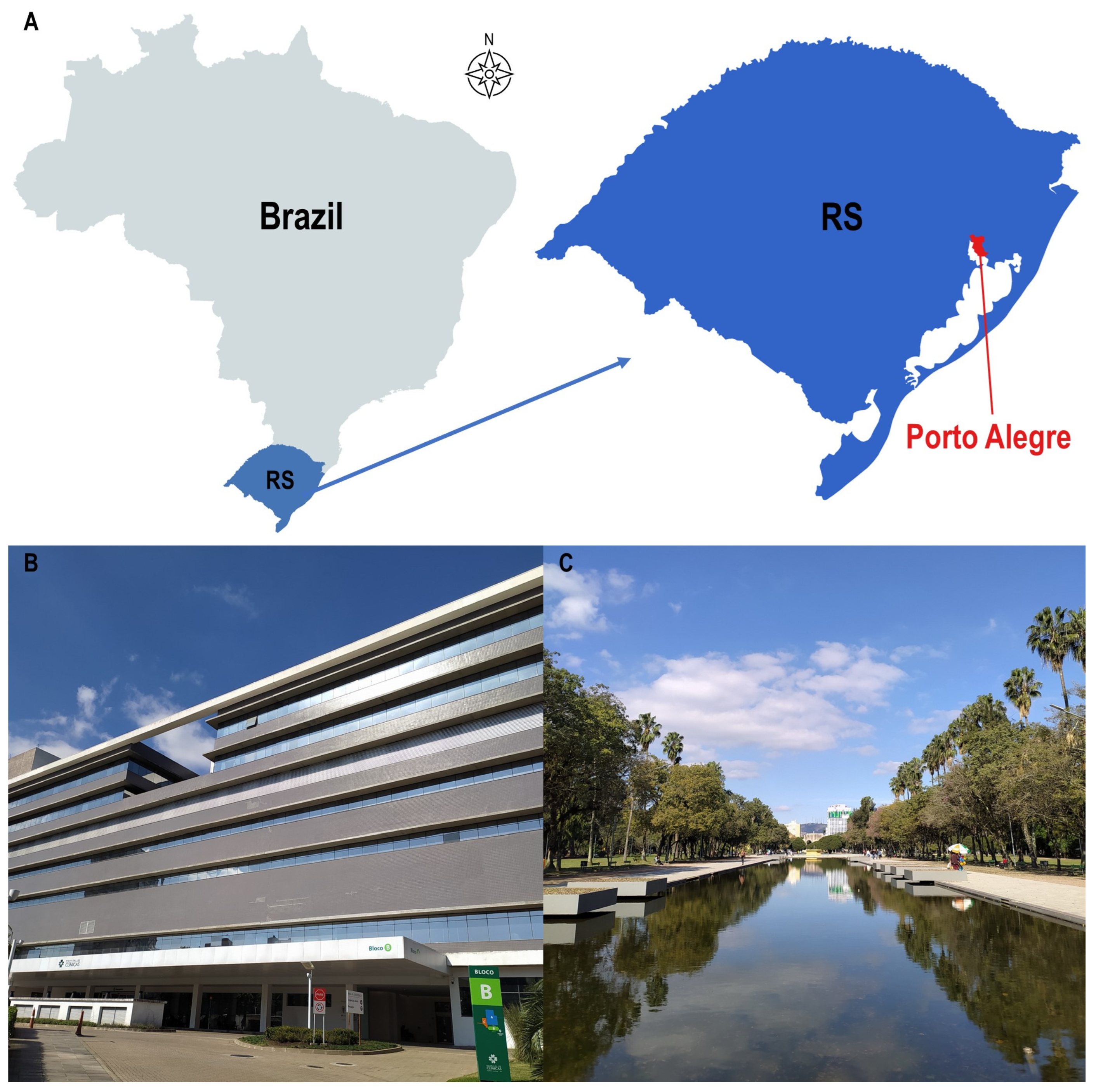 Sustainability 16 02672 g001