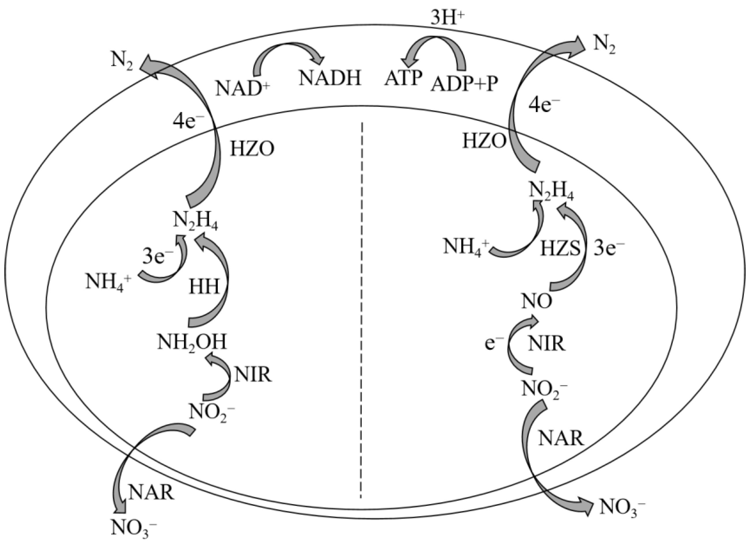 Sustainability 16 02705 g001