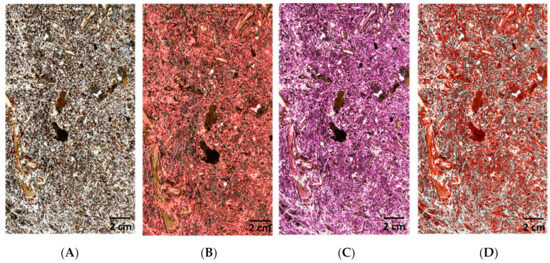 Sustainability 16 02747 g0a1
