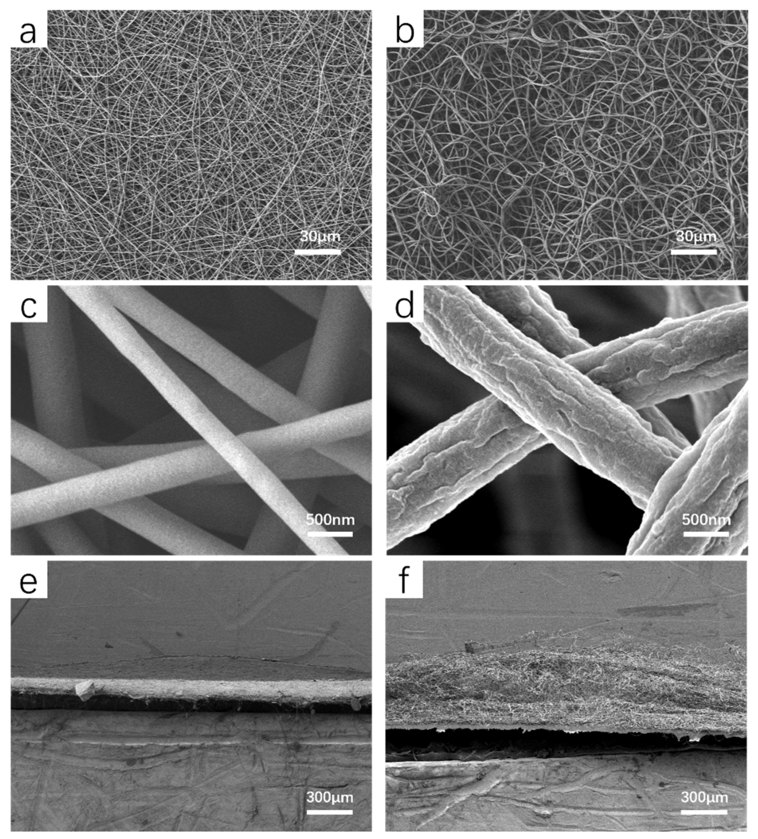 Sustainability 16 02808 g001