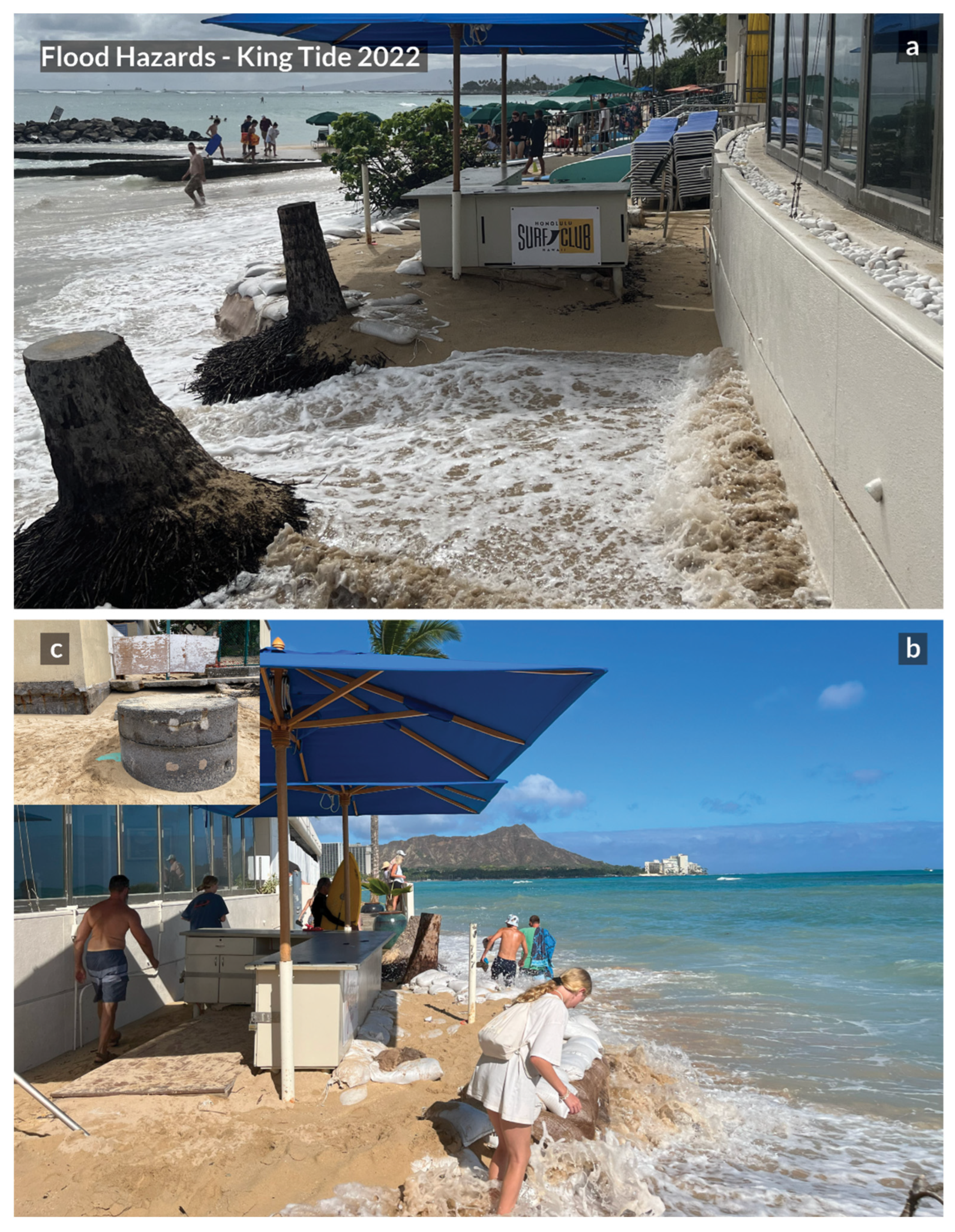 Sustainability 16 02849 g001