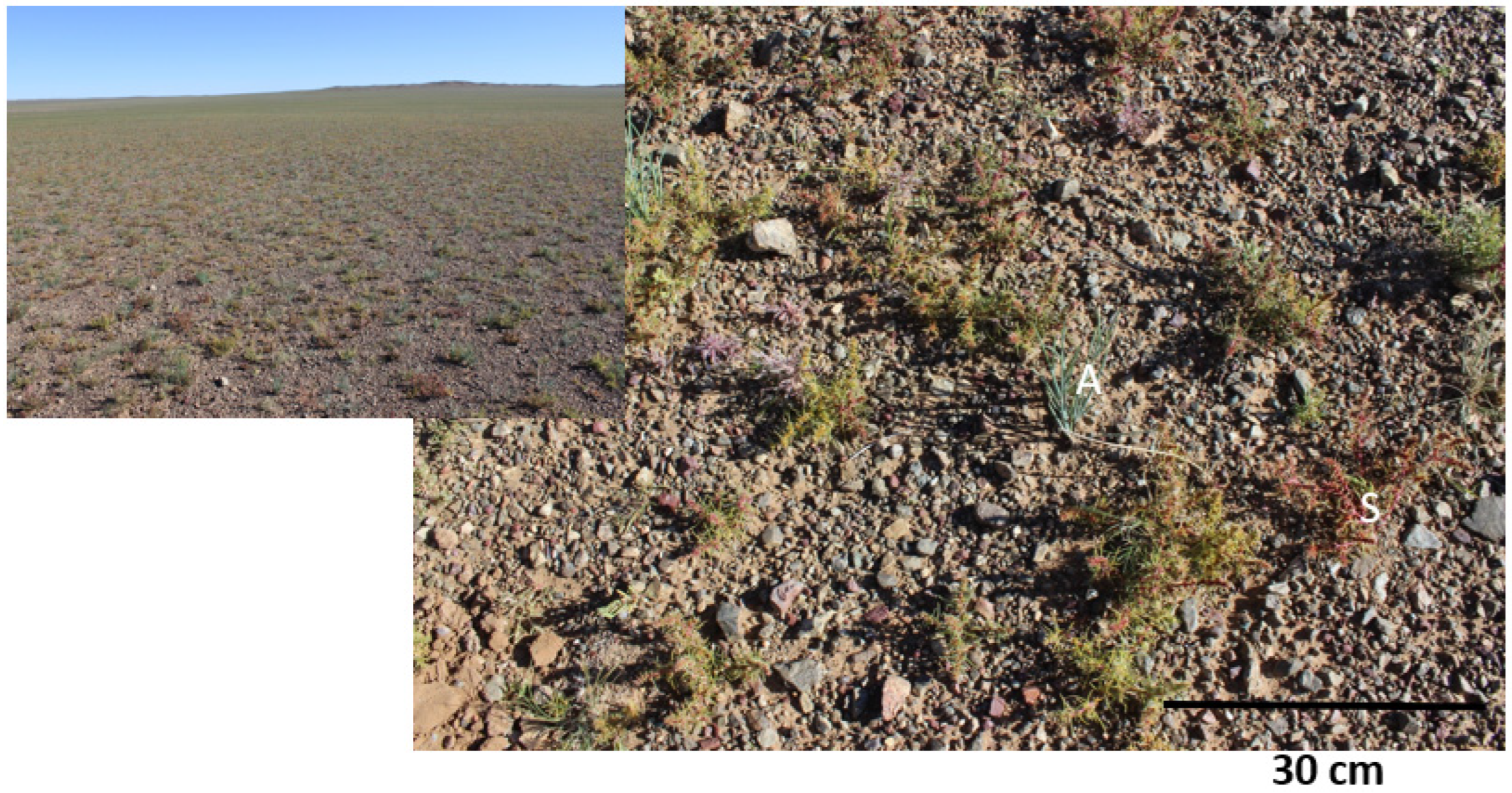 Sustainability 16 02867 g004