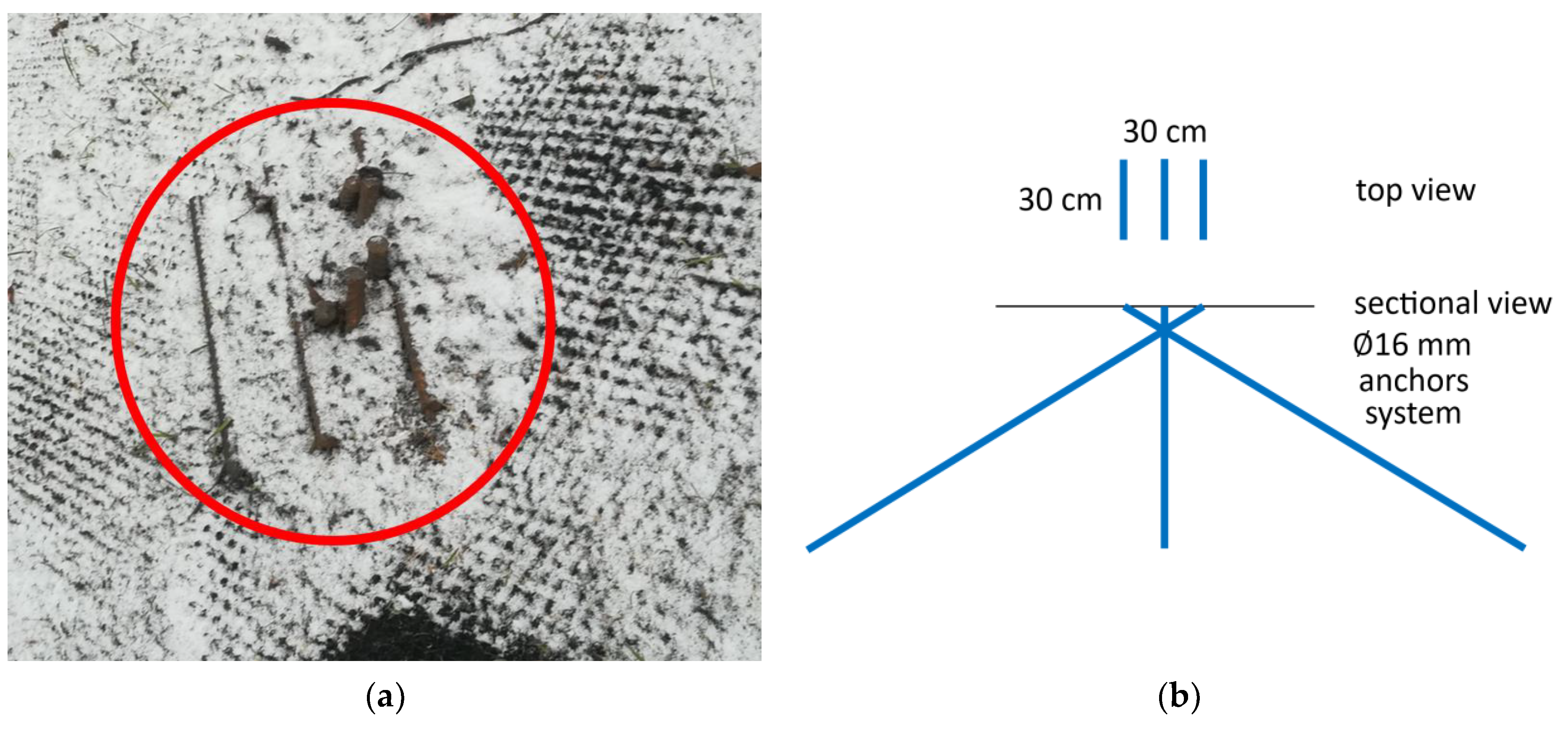 Sustainability 16 02891 g001