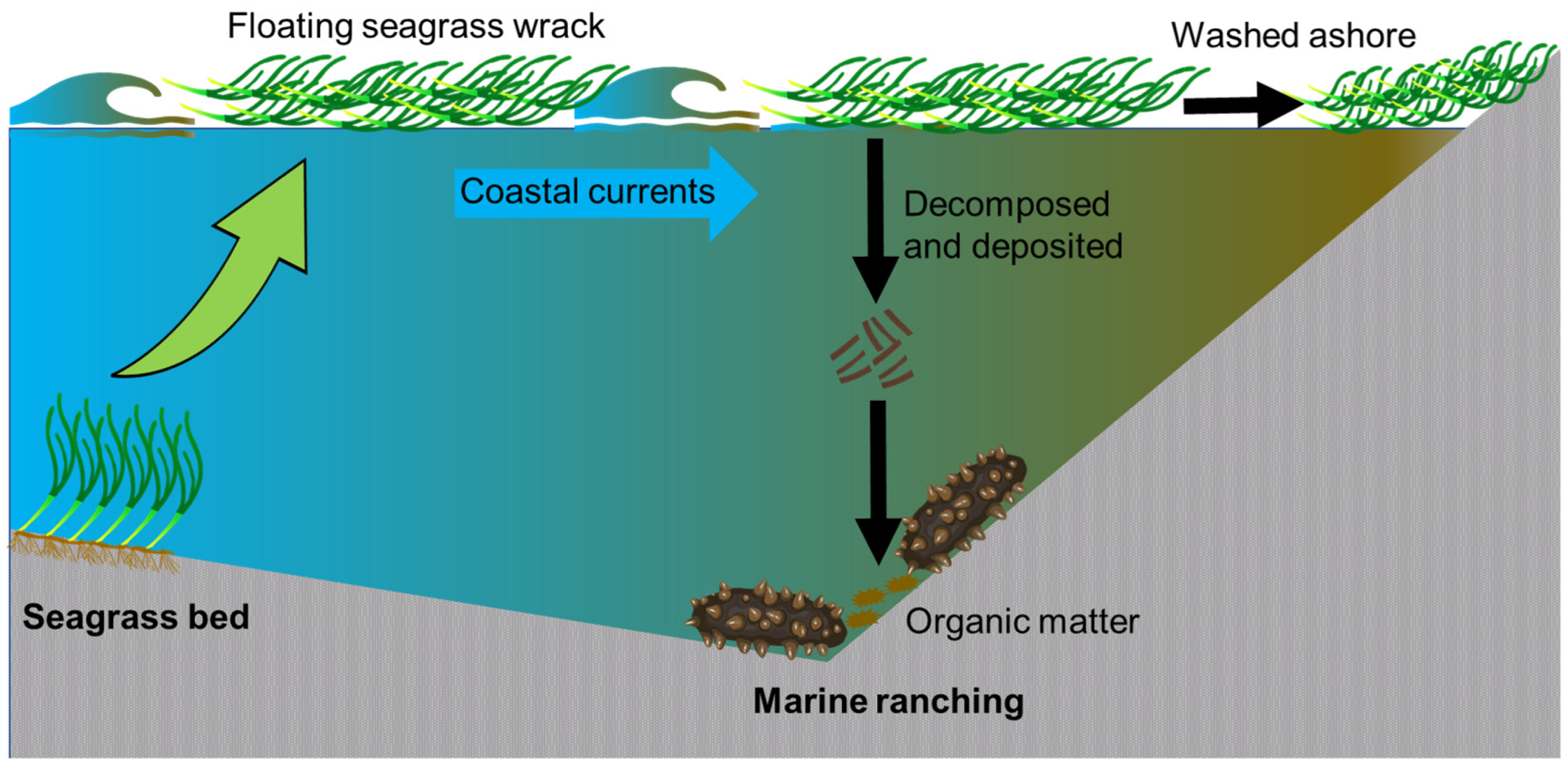 Sustainability 16 02944 g004 Sustainability 16 02944 g004