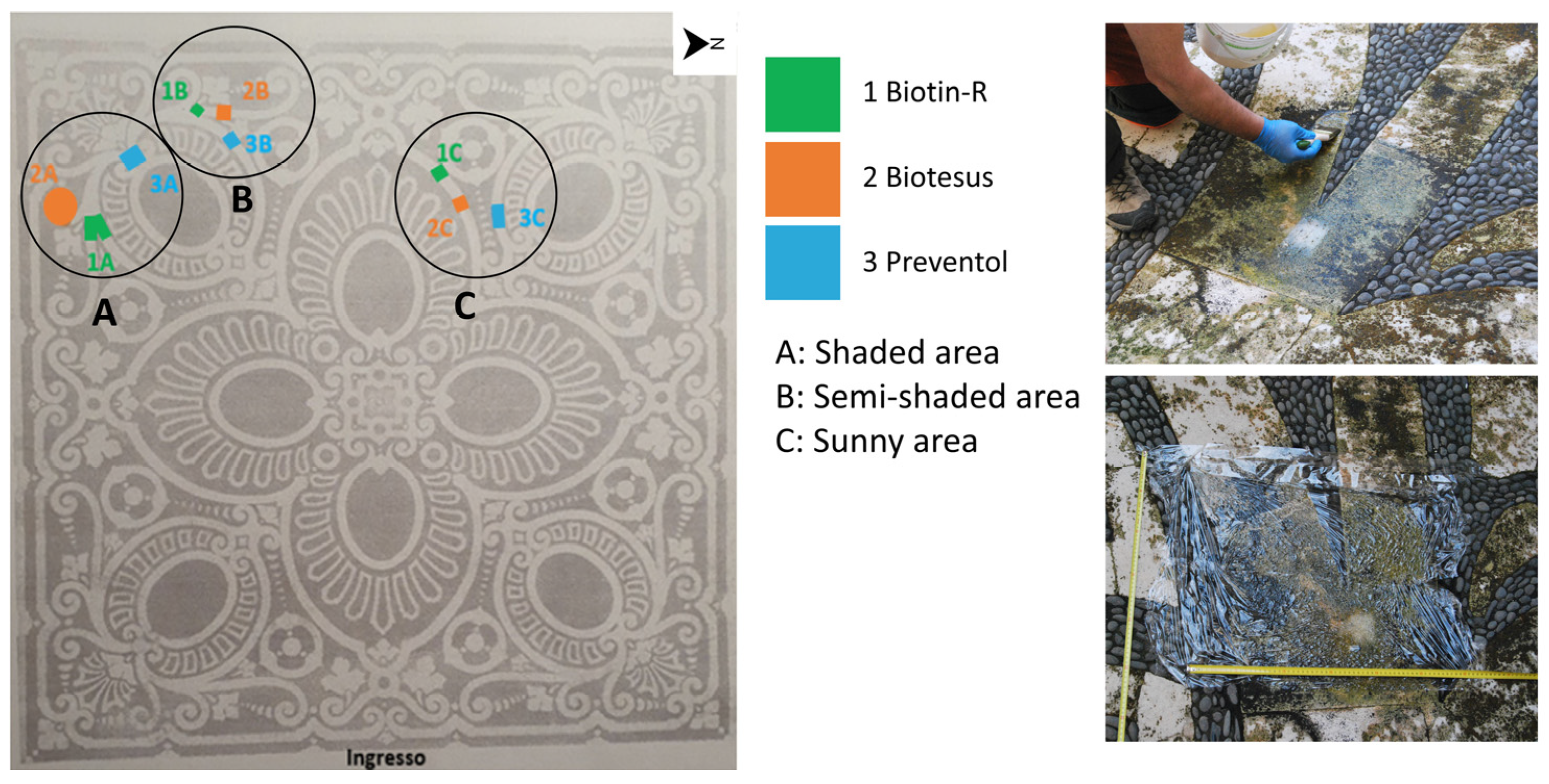 Sustainability 16 02948 g003
