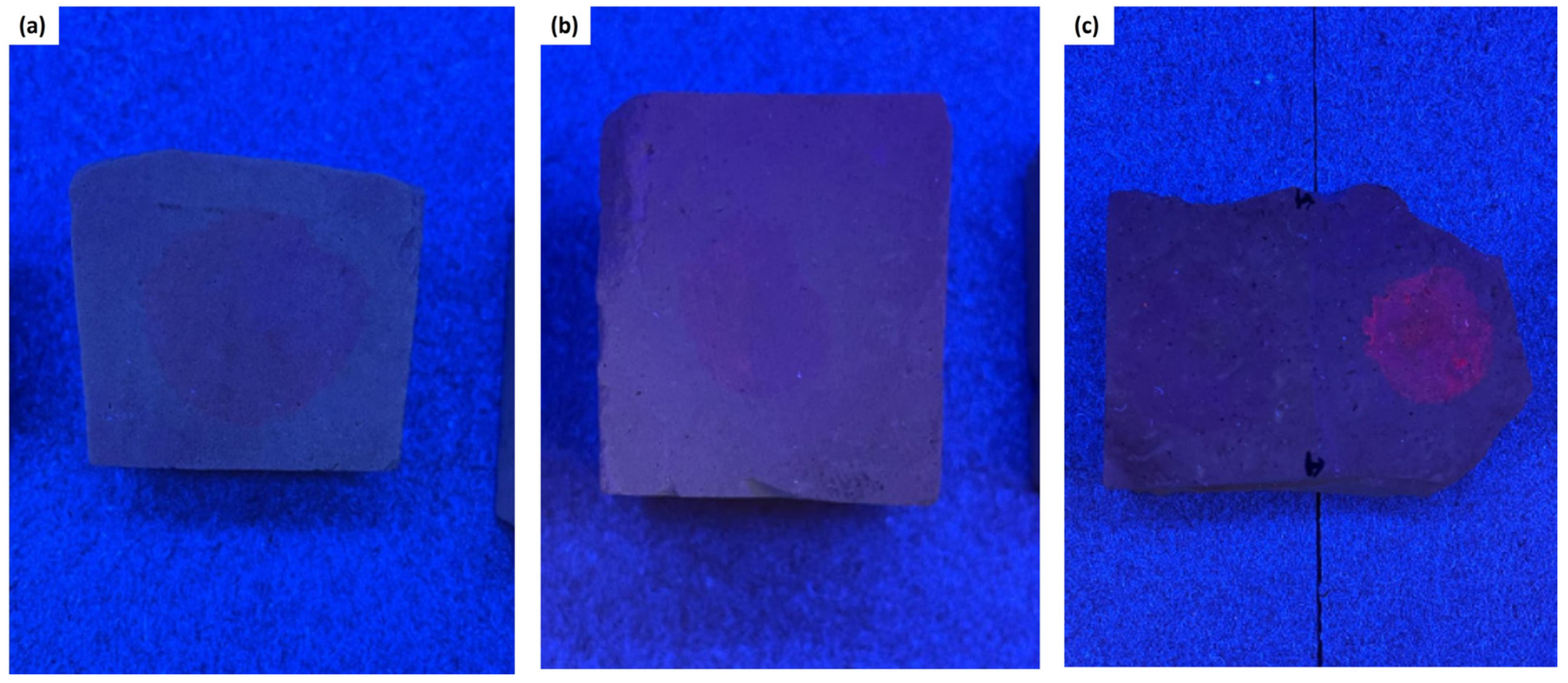 Sustainability 16 02948 g007