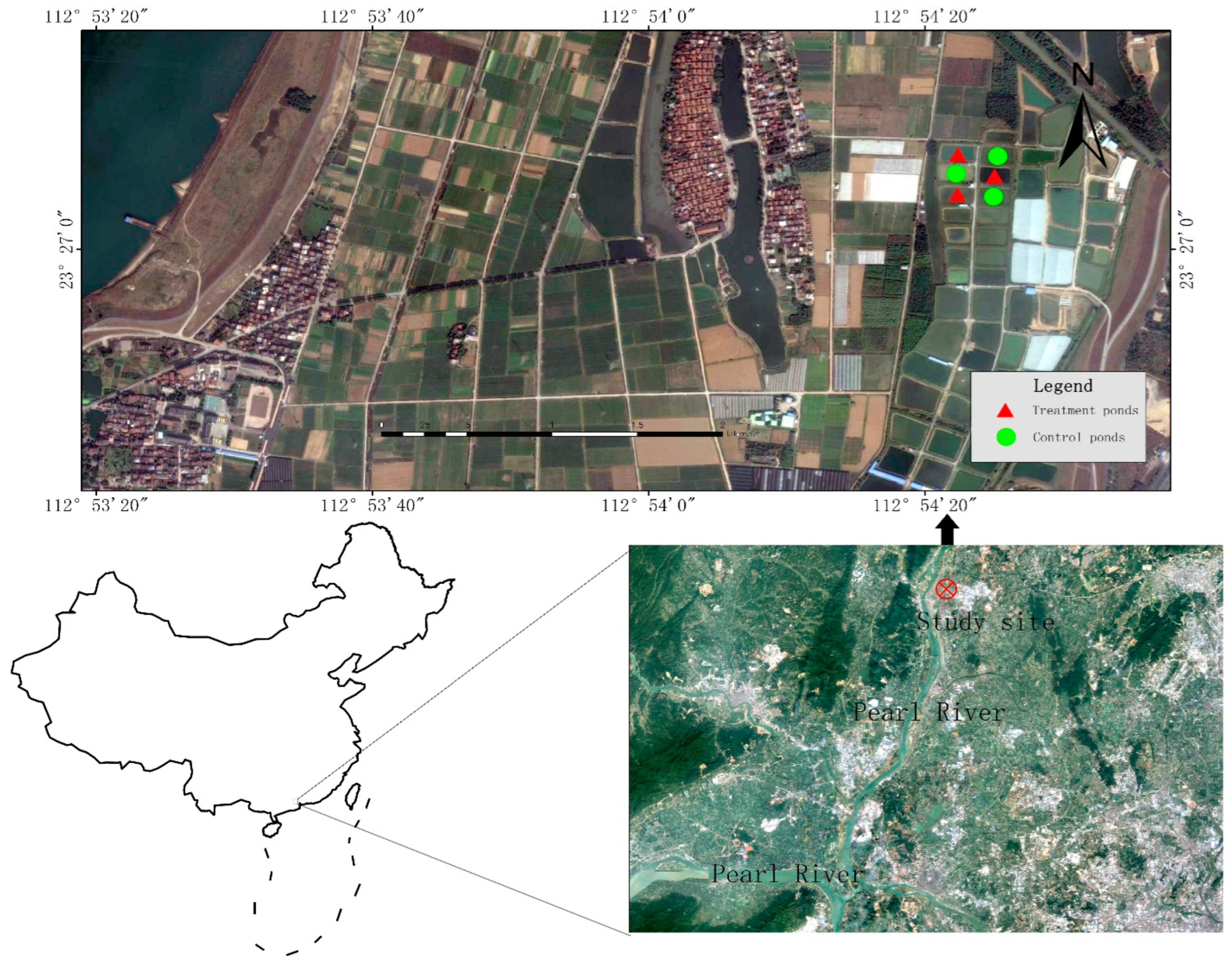 Sustainability 16 02955 g001