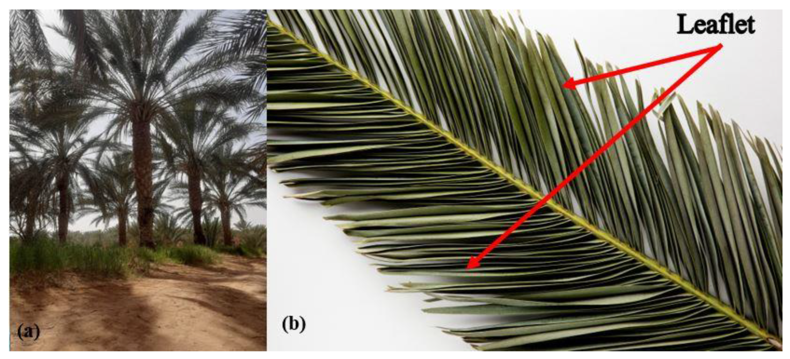 Sustainability 16 03015 g001