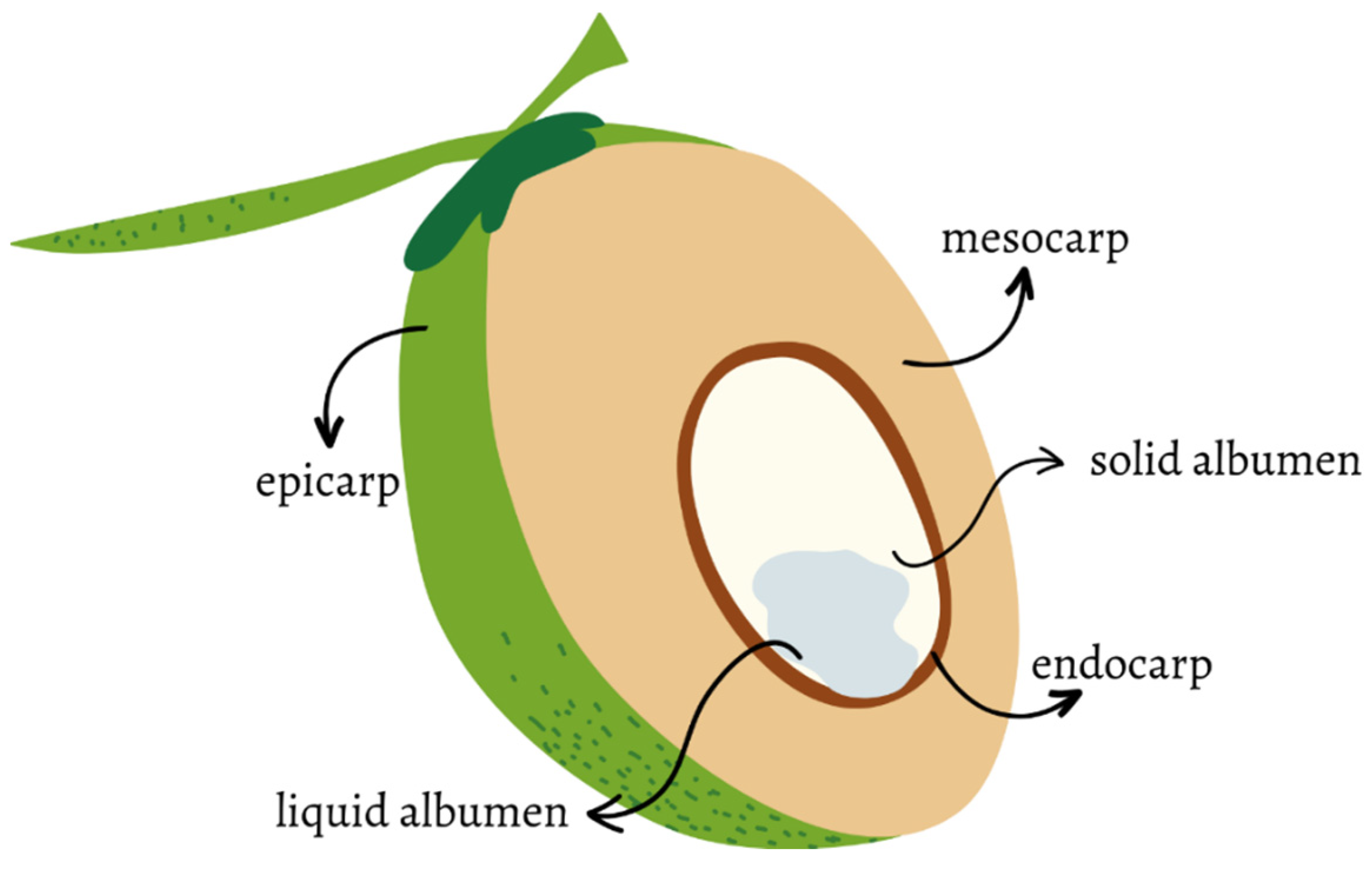 Sustainability 16 03066 g001 Sustainability 16 03066 g001