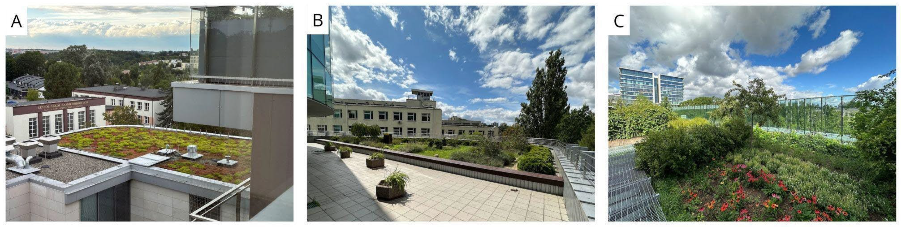 Sustainability 16 03131 g003