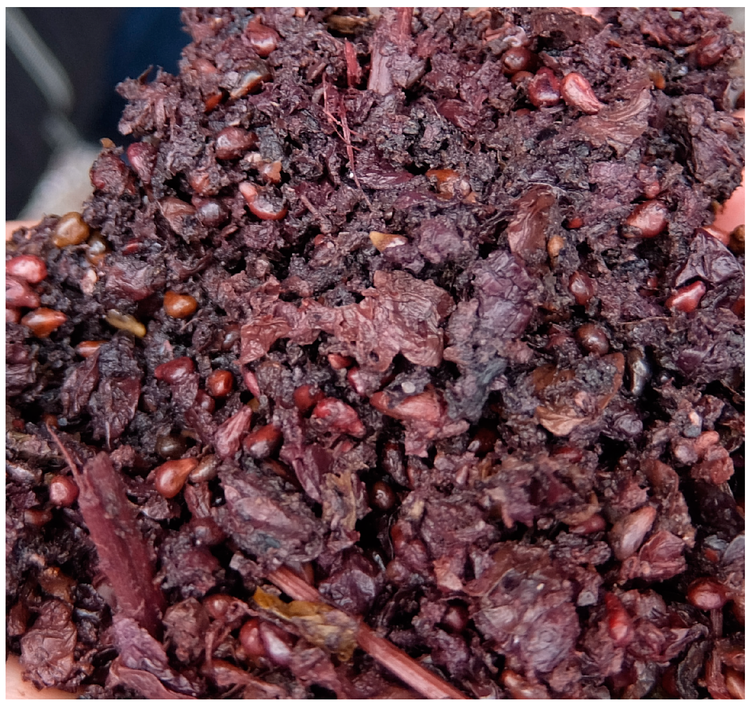 Sustainability 16 03167 g001