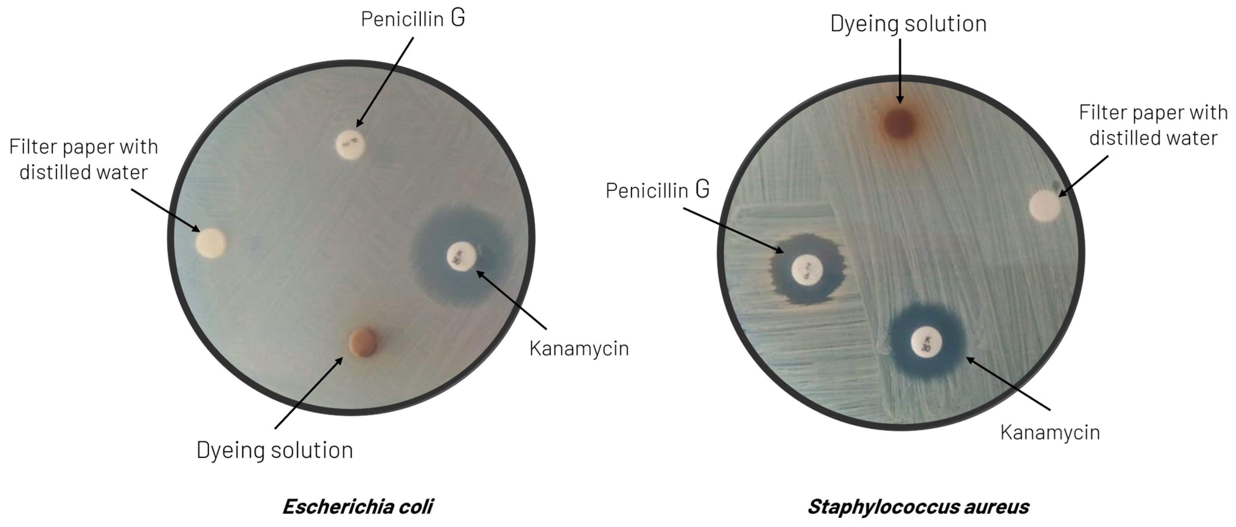 Sustainability 16 03167 g008