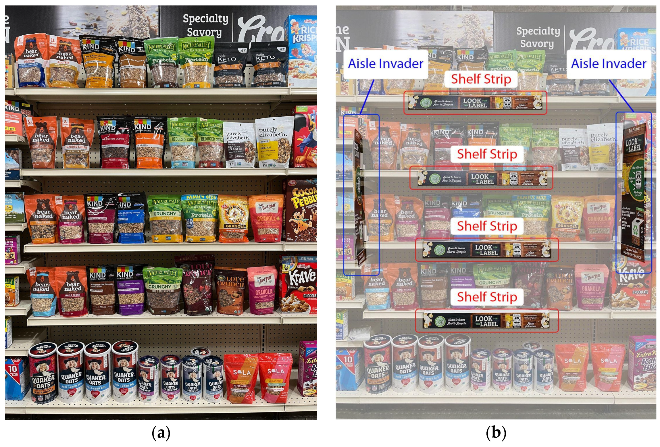 Sustainability 16 03168 g001