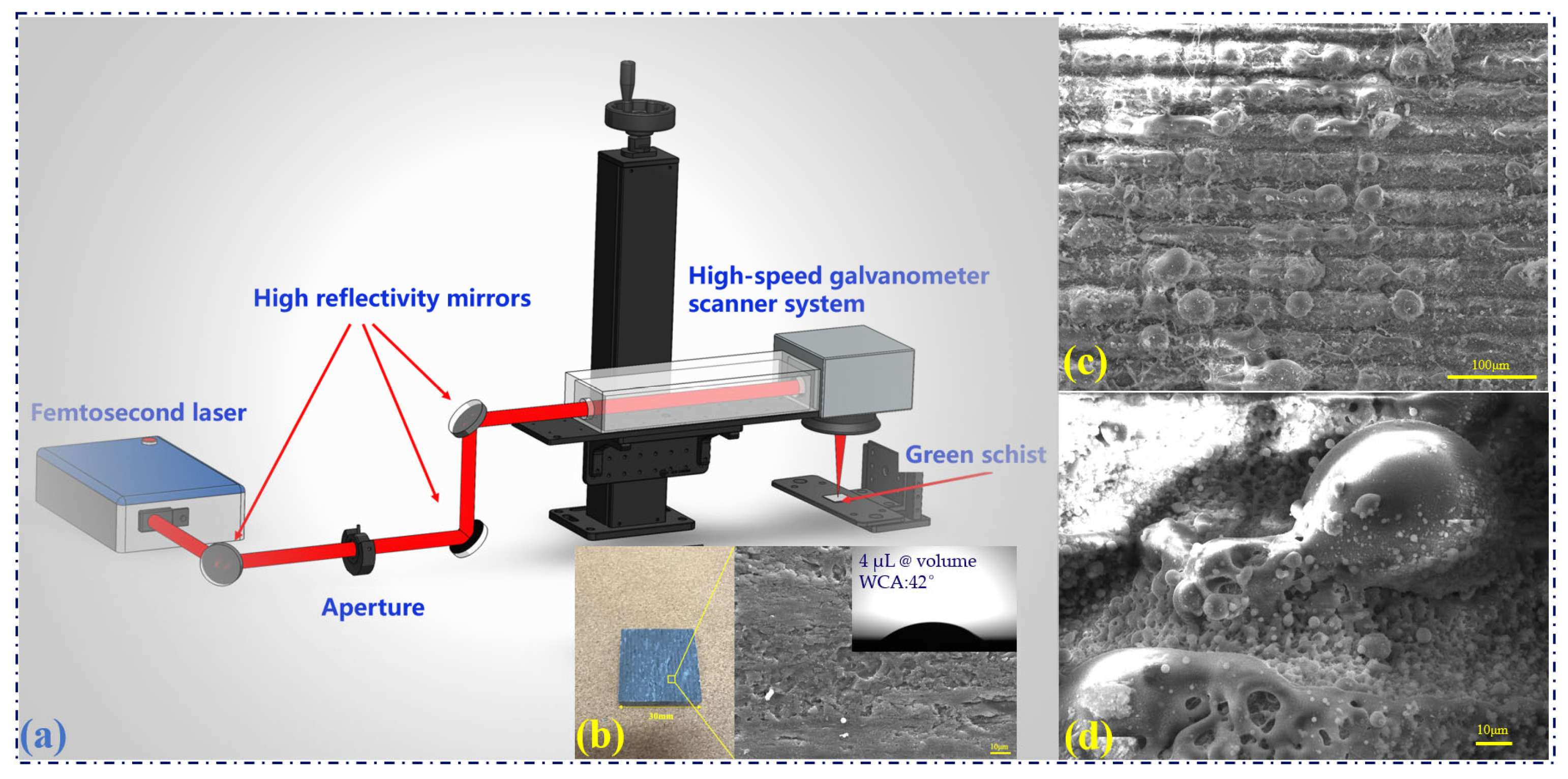 Sustainability 16 03169 g001