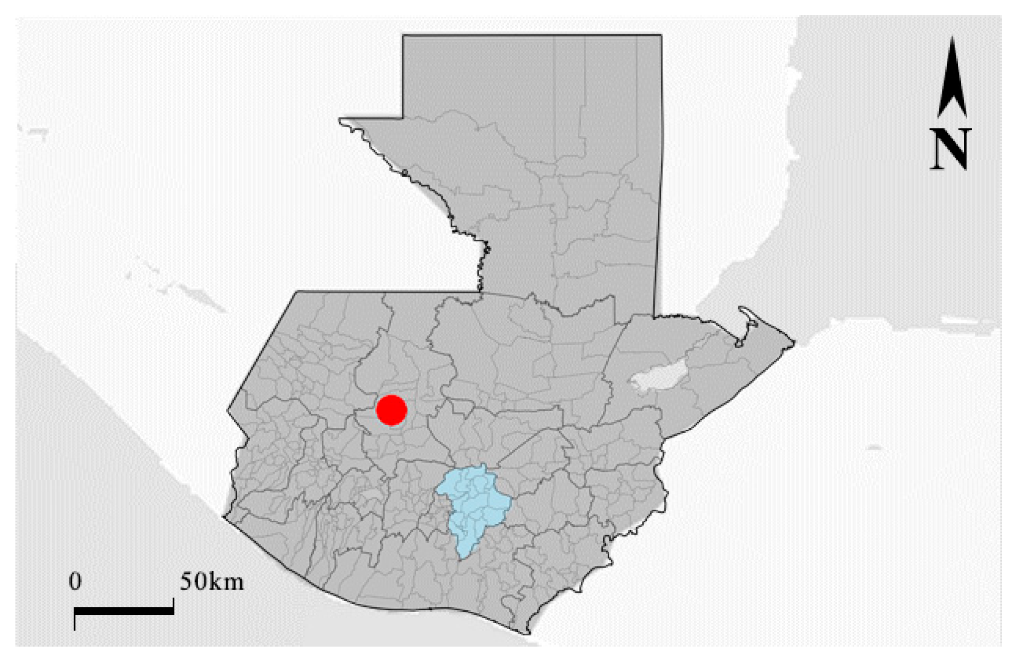 Sustainability 16 03194 g001