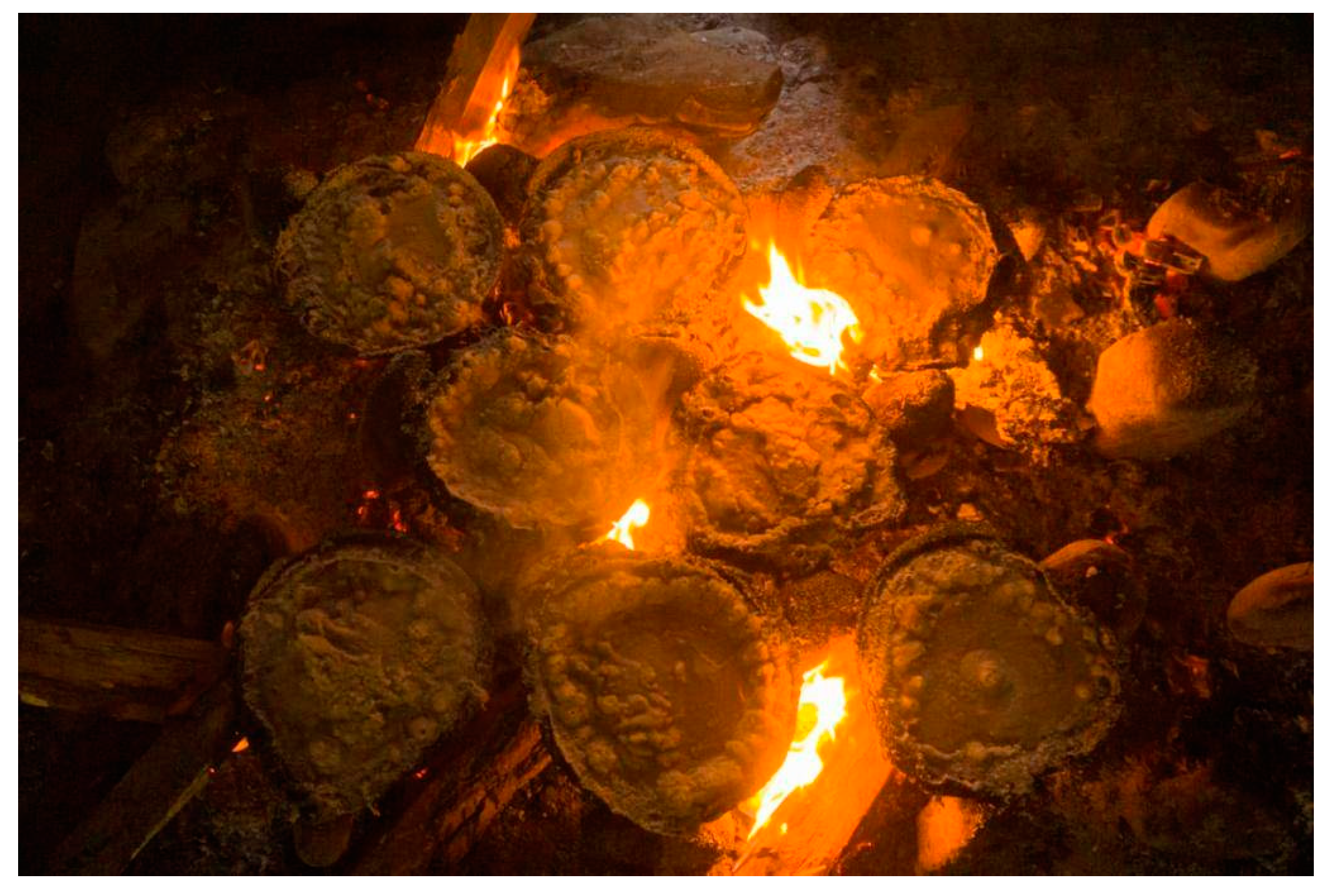 Sustainability 16 03194 g006