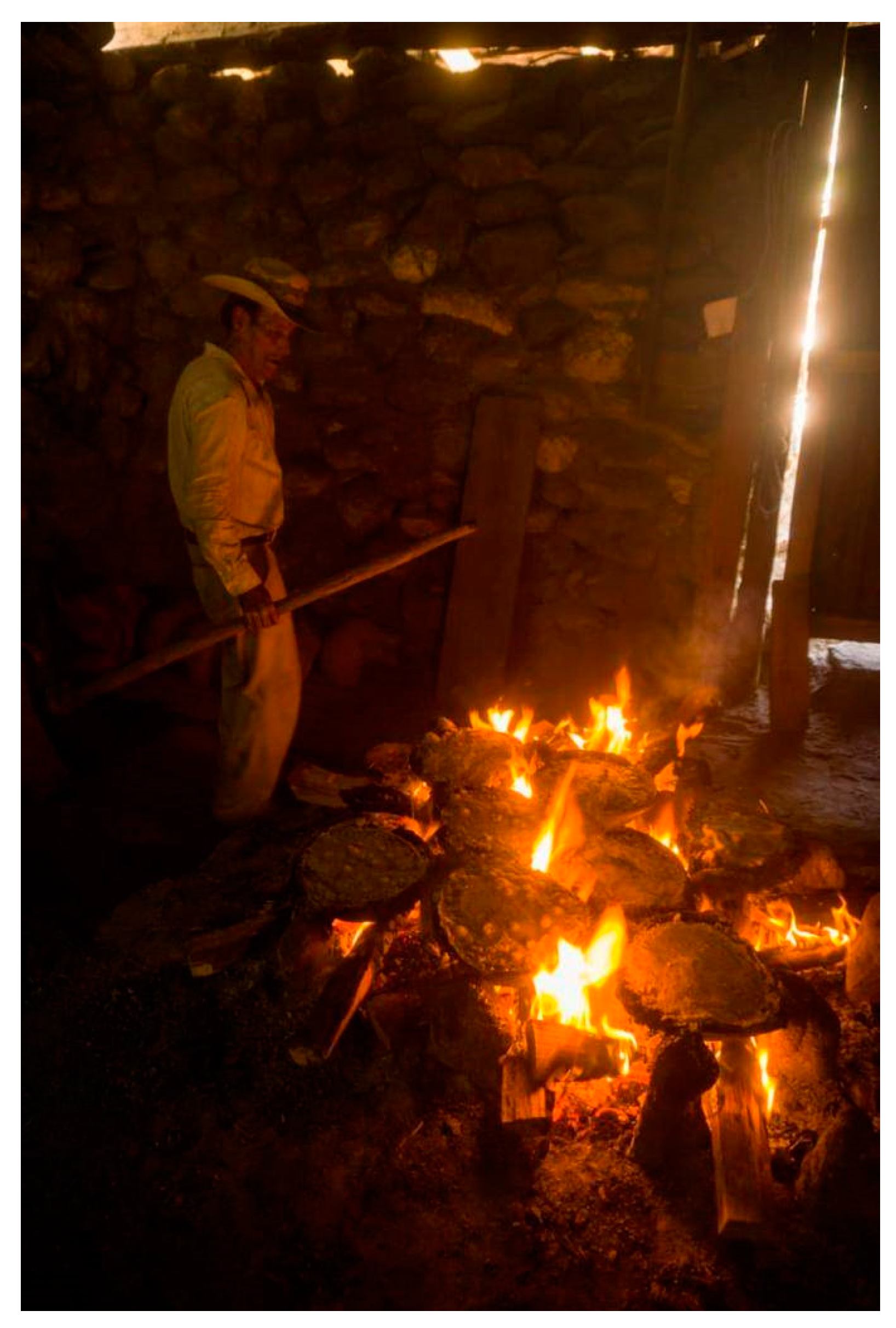 Sustainability 16 03194 g013