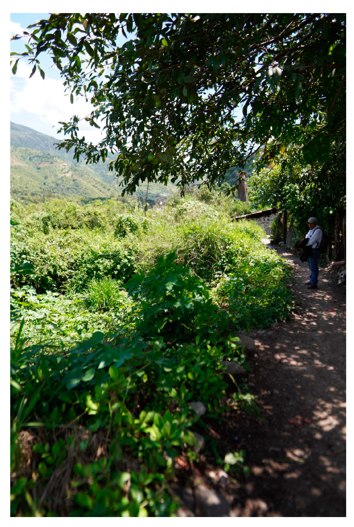 Sustainability 16 03194 g017