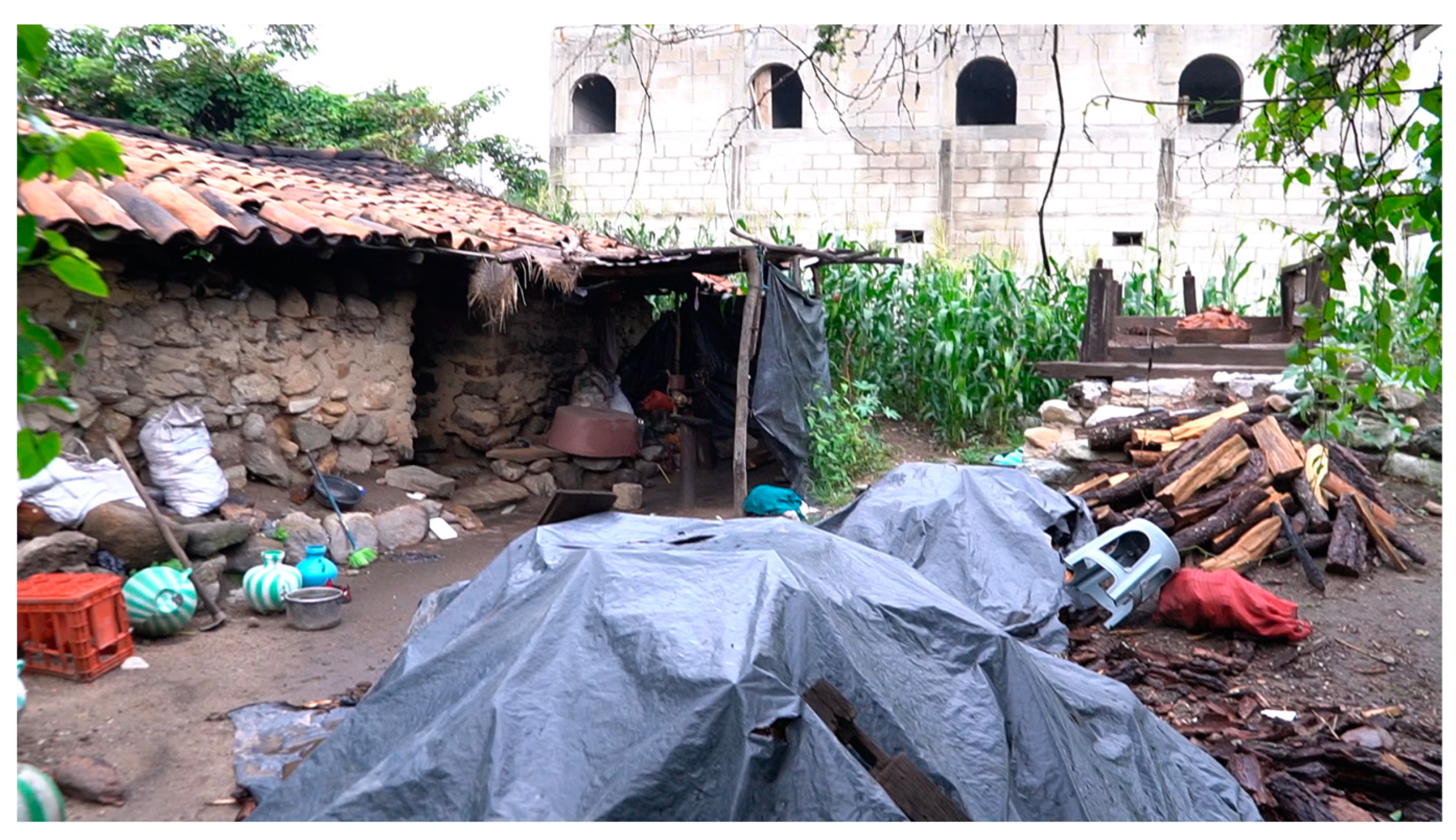 Sustainability 16 03194 g020