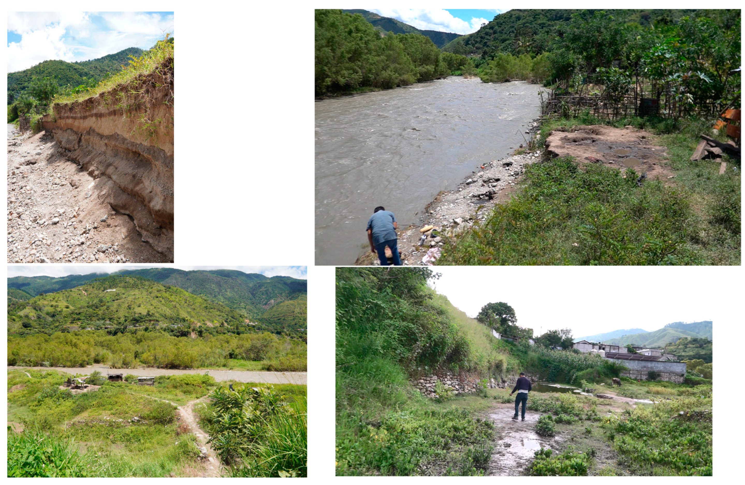 Sustainability 16 03194 g027