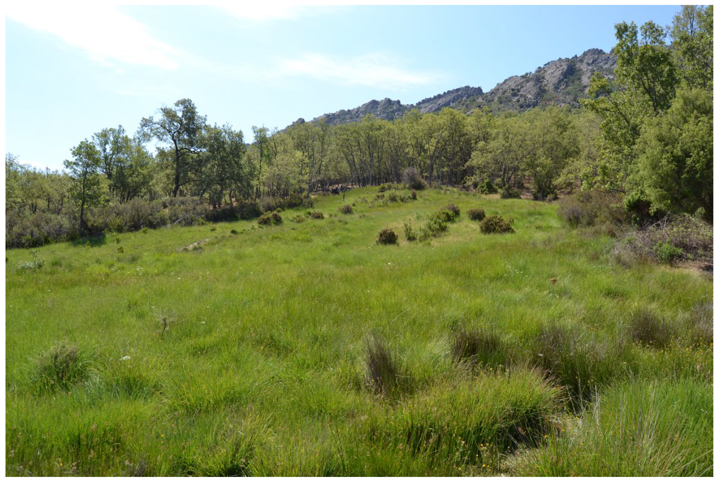 Sustainability 16 03232 g001