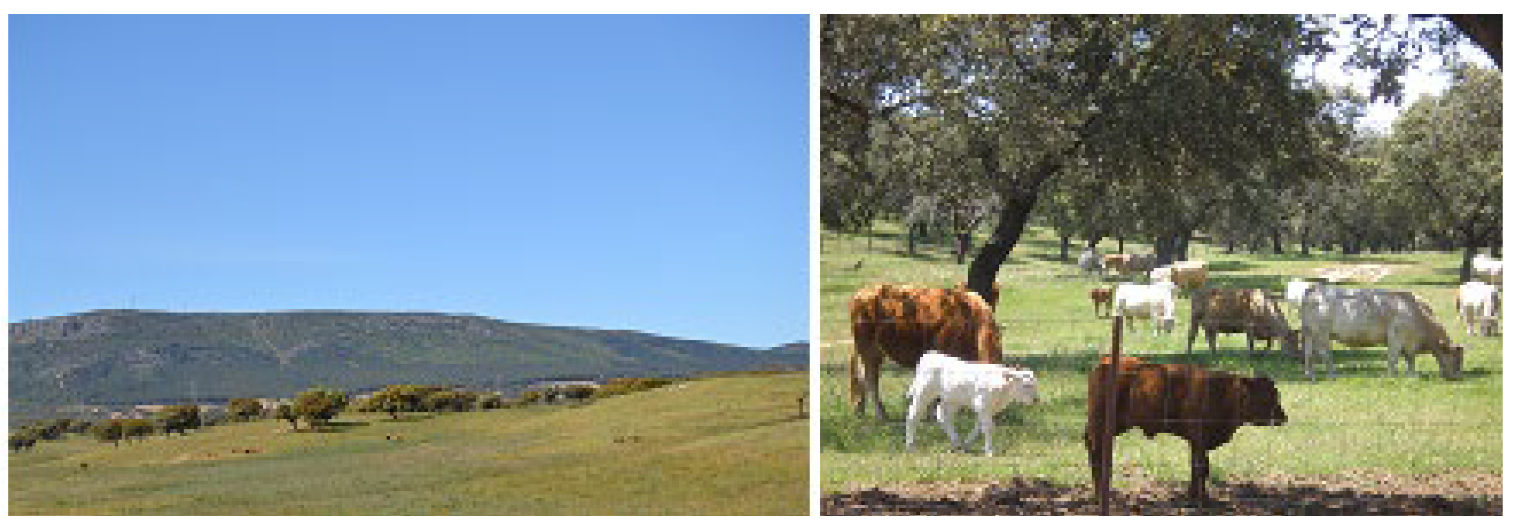 Sustainability 16 03232 g002