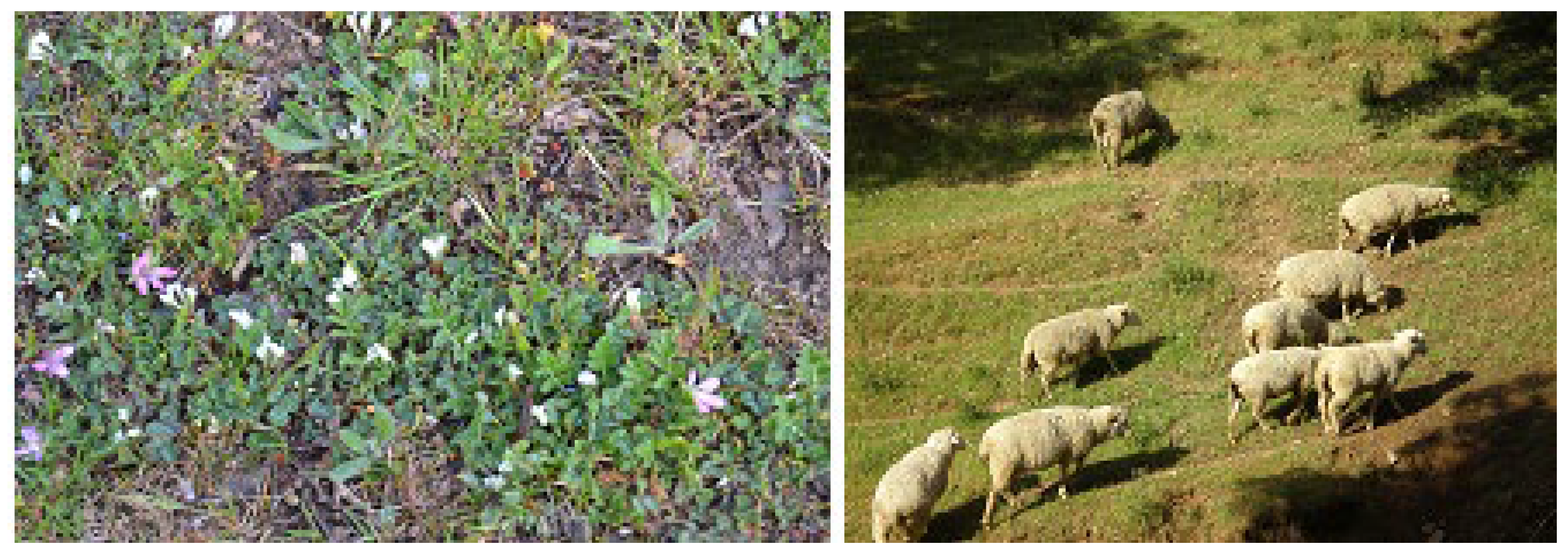 Sustainability 16 03232 g003