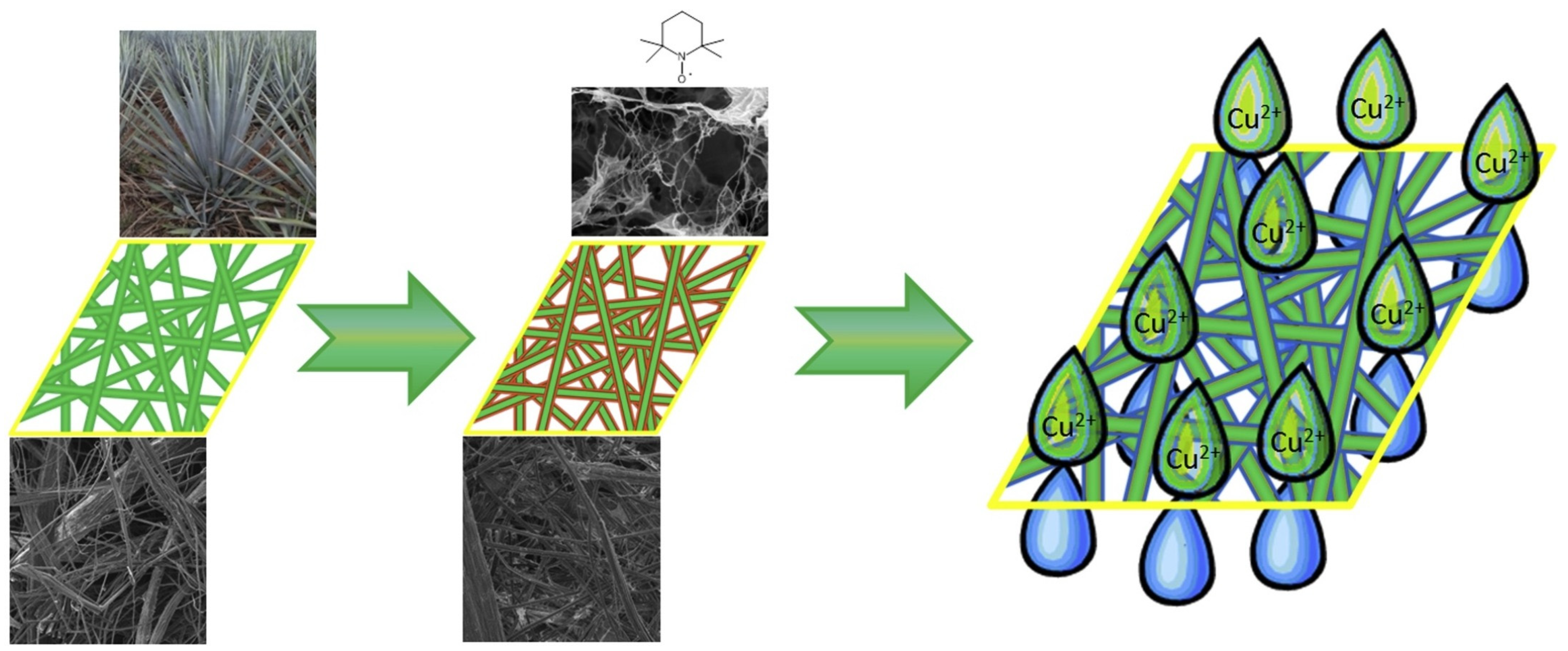 Sustainability 16 03265 g002