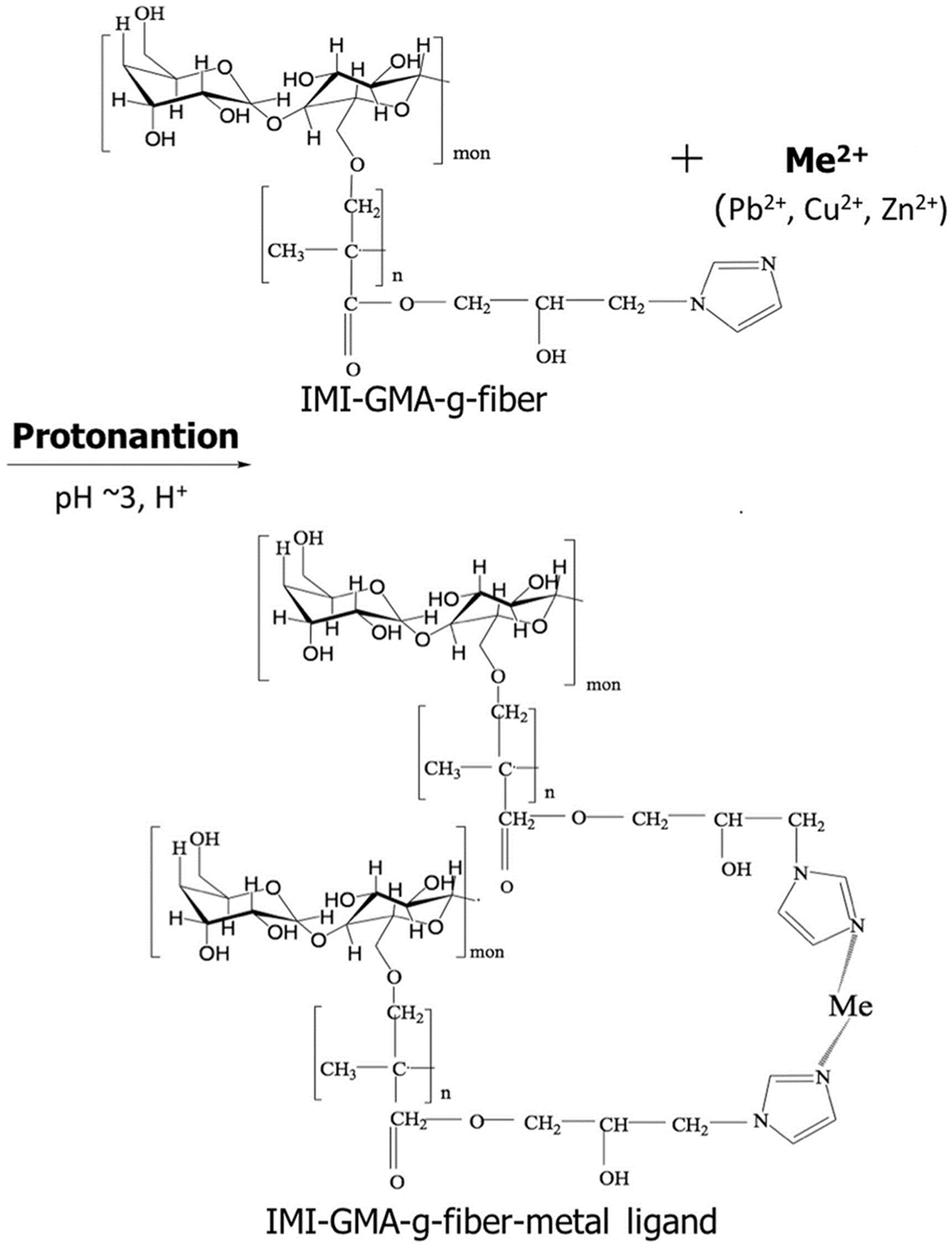 Sustainability 16 03265 g003