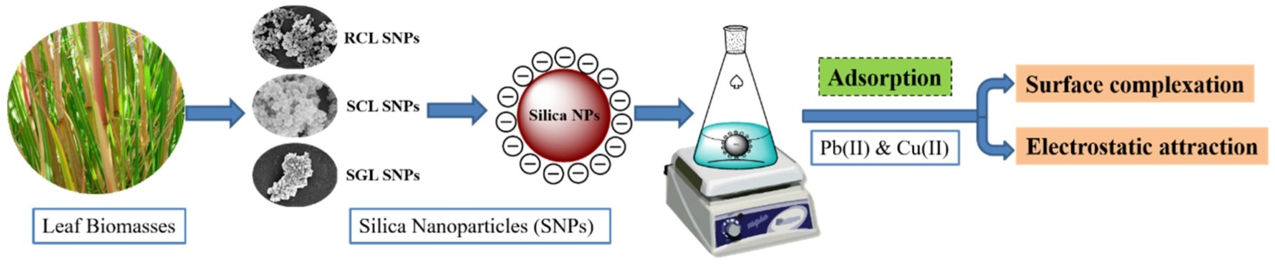 Sustainability 16 03265 g008