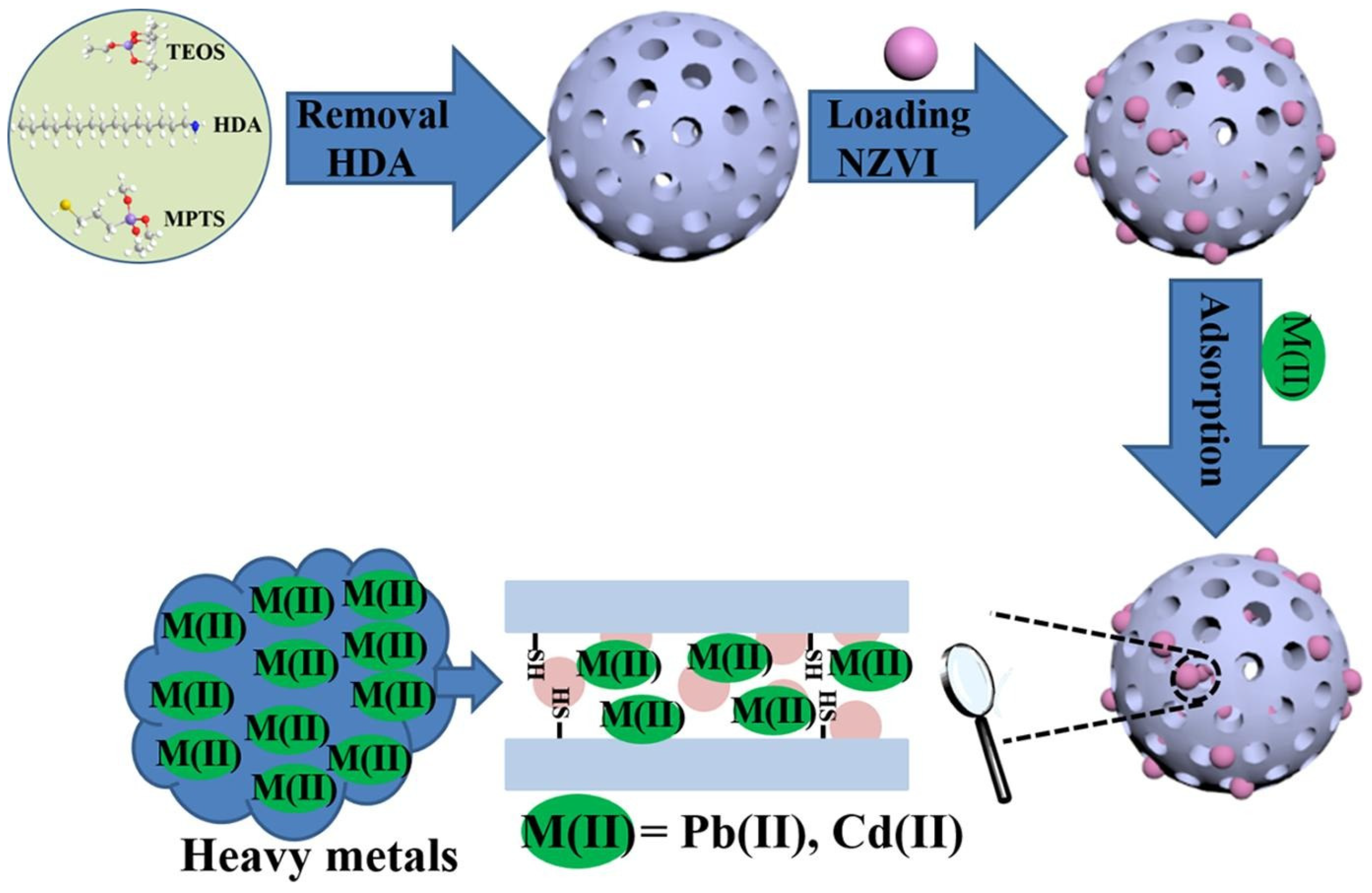 Sustainability 16 03265 g010