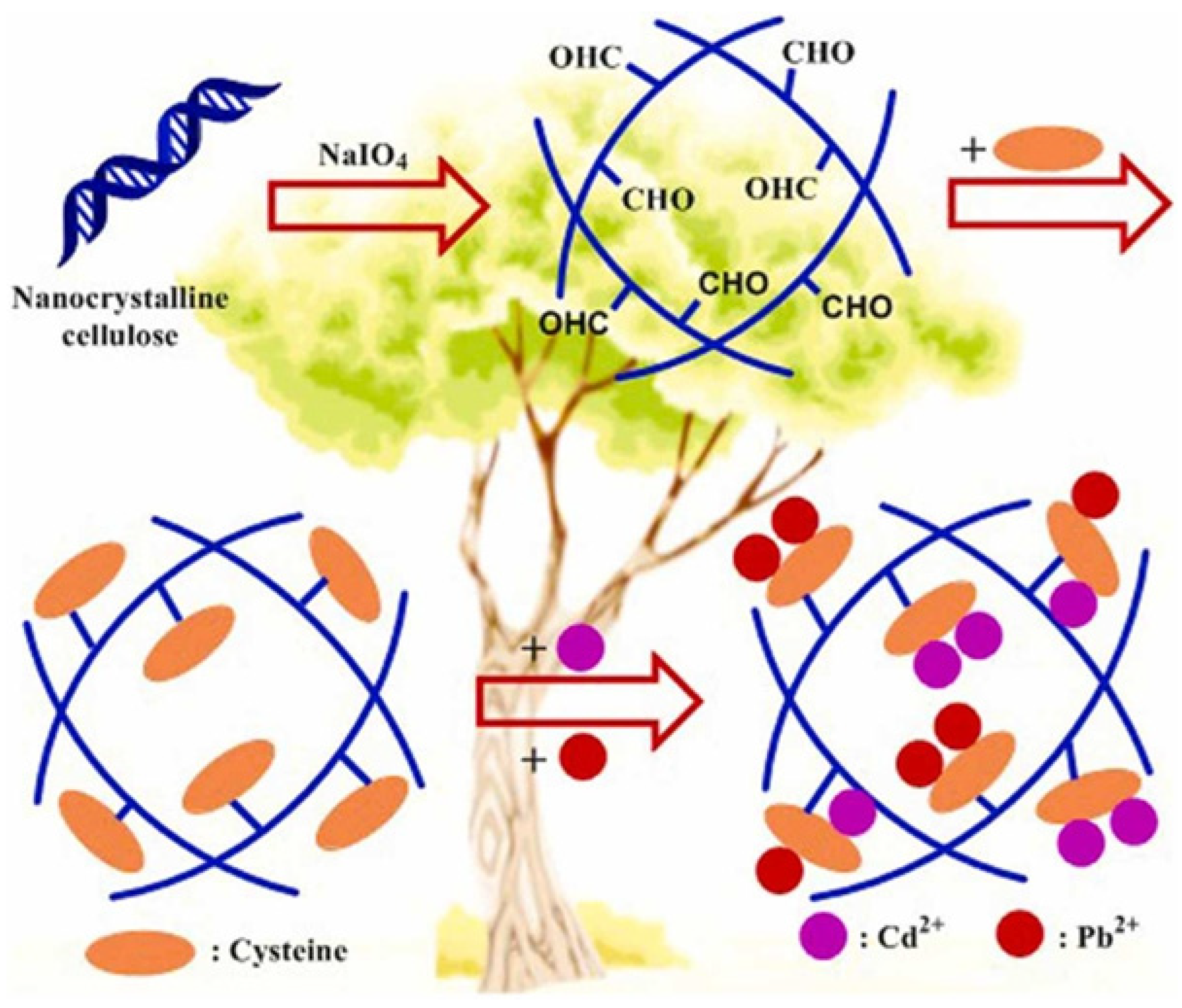 Sustainability 16 03265 g019