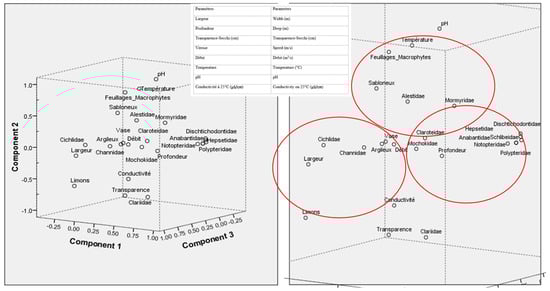 Sustainability 16 03353 g003