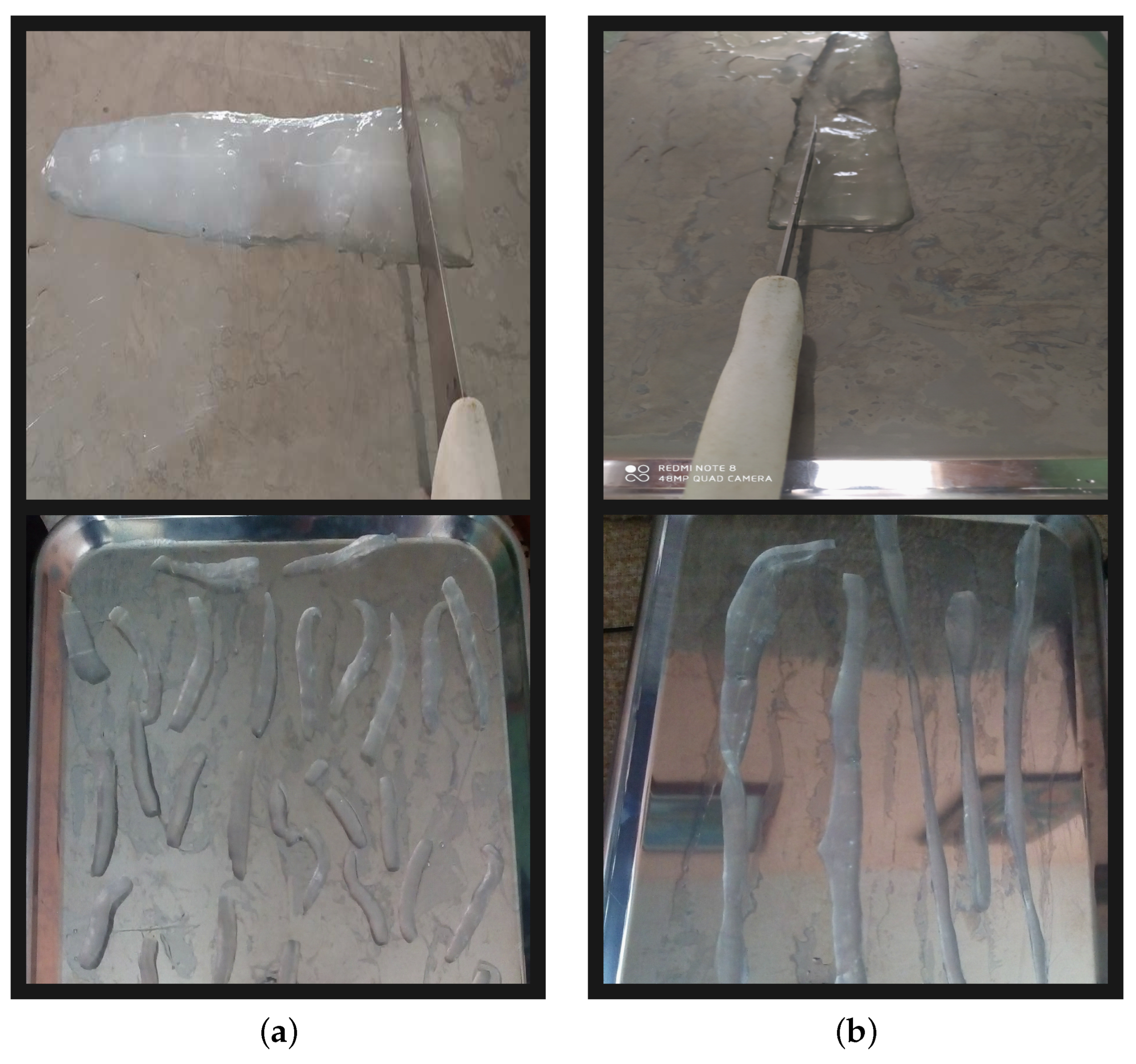 Sustainability 16 03392 g003