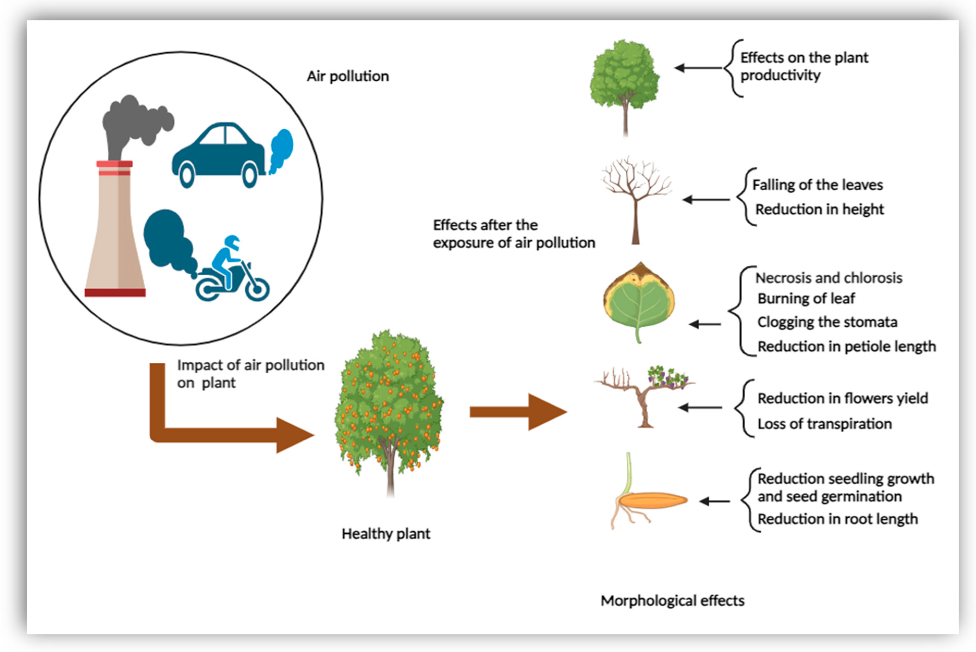 Sustainability 16 03427 g002